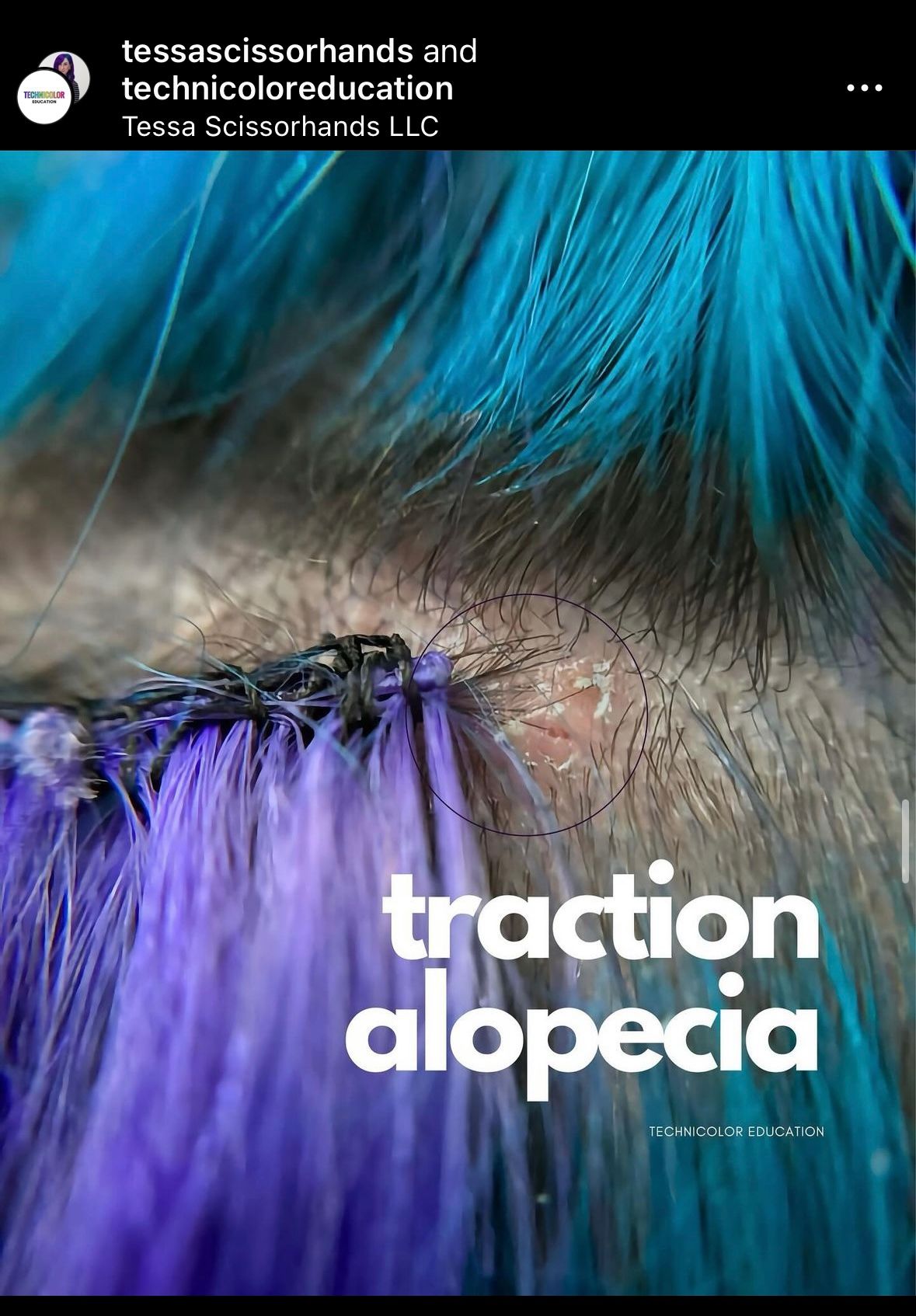 Tessa Scissorhands — Educational Post ONESHOT Hair Awards entry