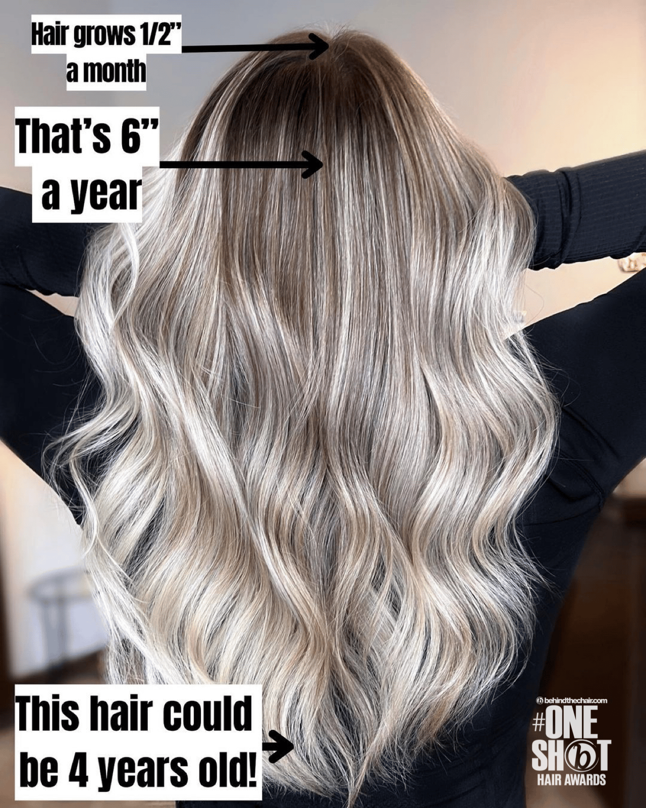 Sarah Cabral — Educational Post ONESHOT Hair Awards entry