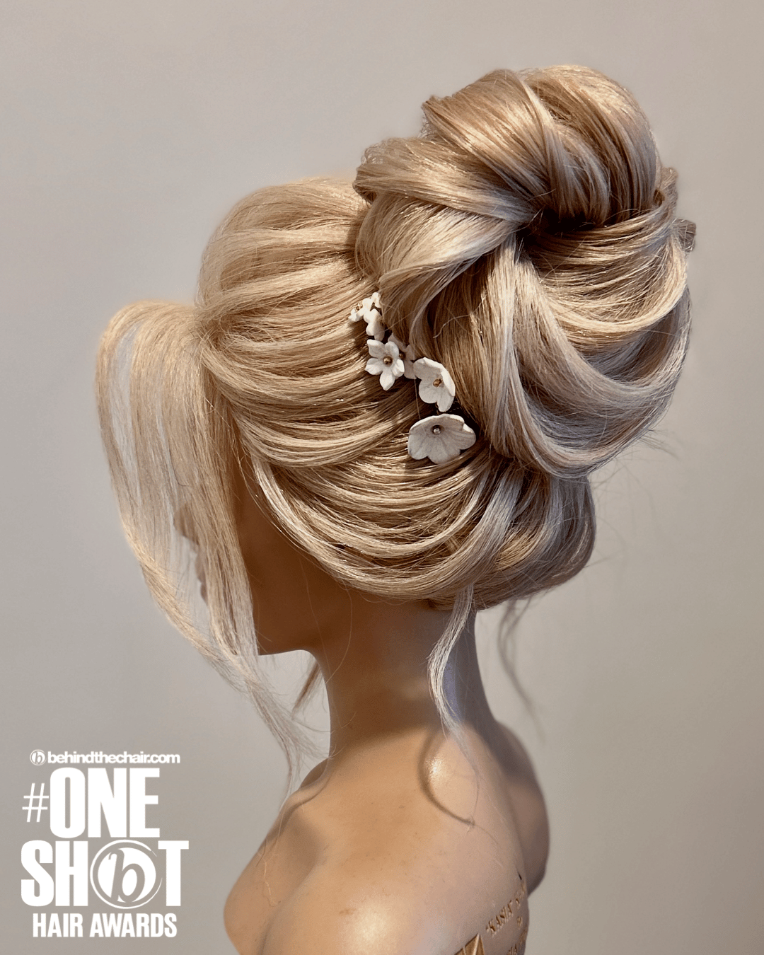 Brid Nic — Special Event Styling ONESHOT Hair Awards entry