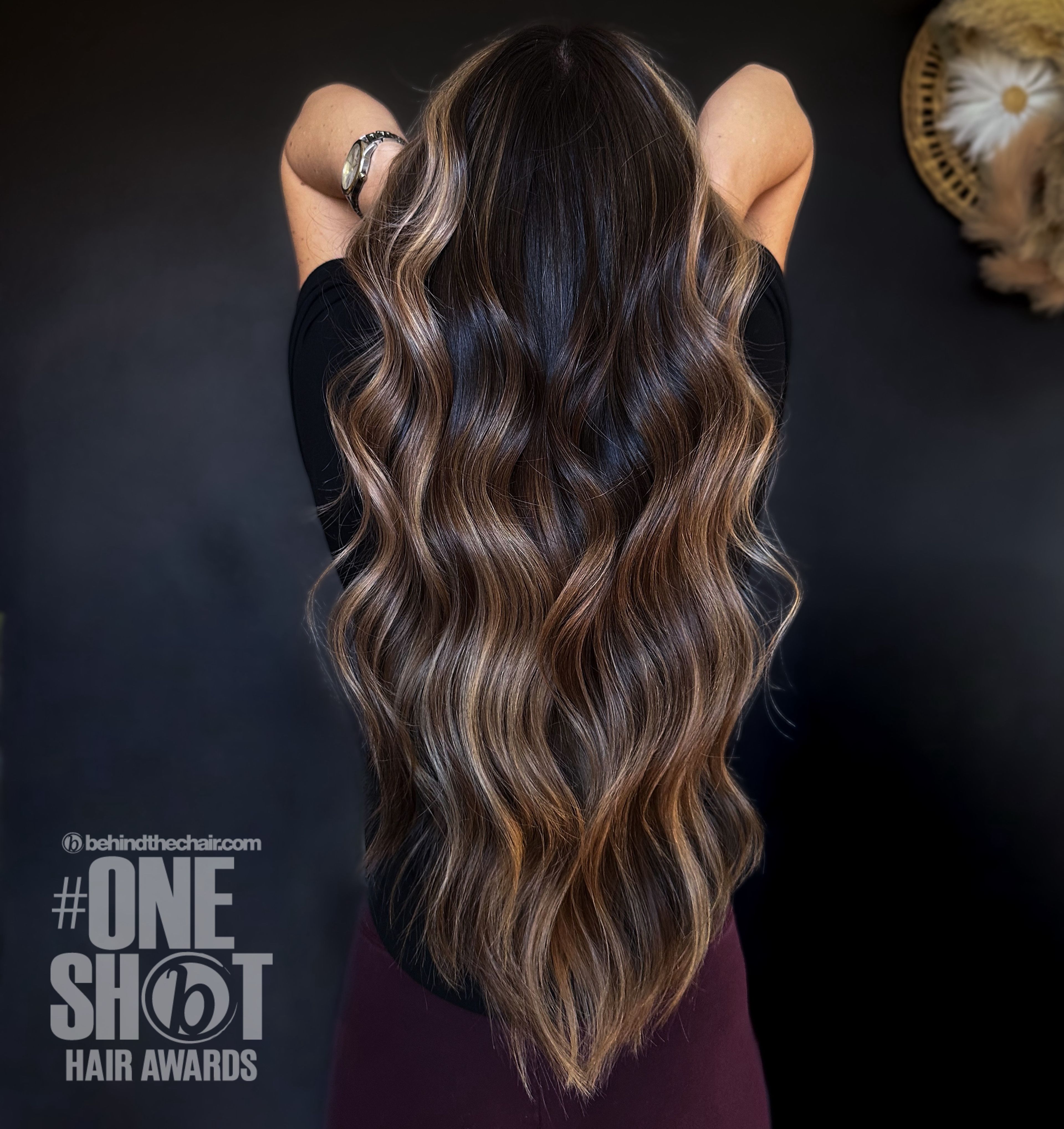 Melea Krabach — Brunettes ONESHOT Hair Awards entry