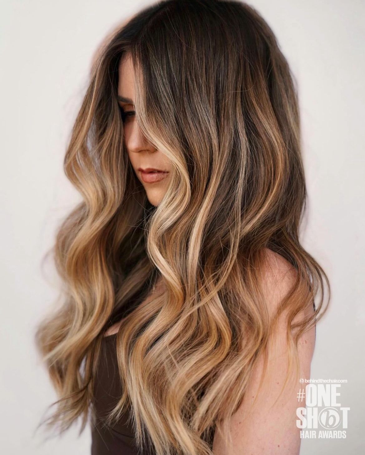 Sara Botsford — Warm Balayage ONESHOT Hair Awards entry
