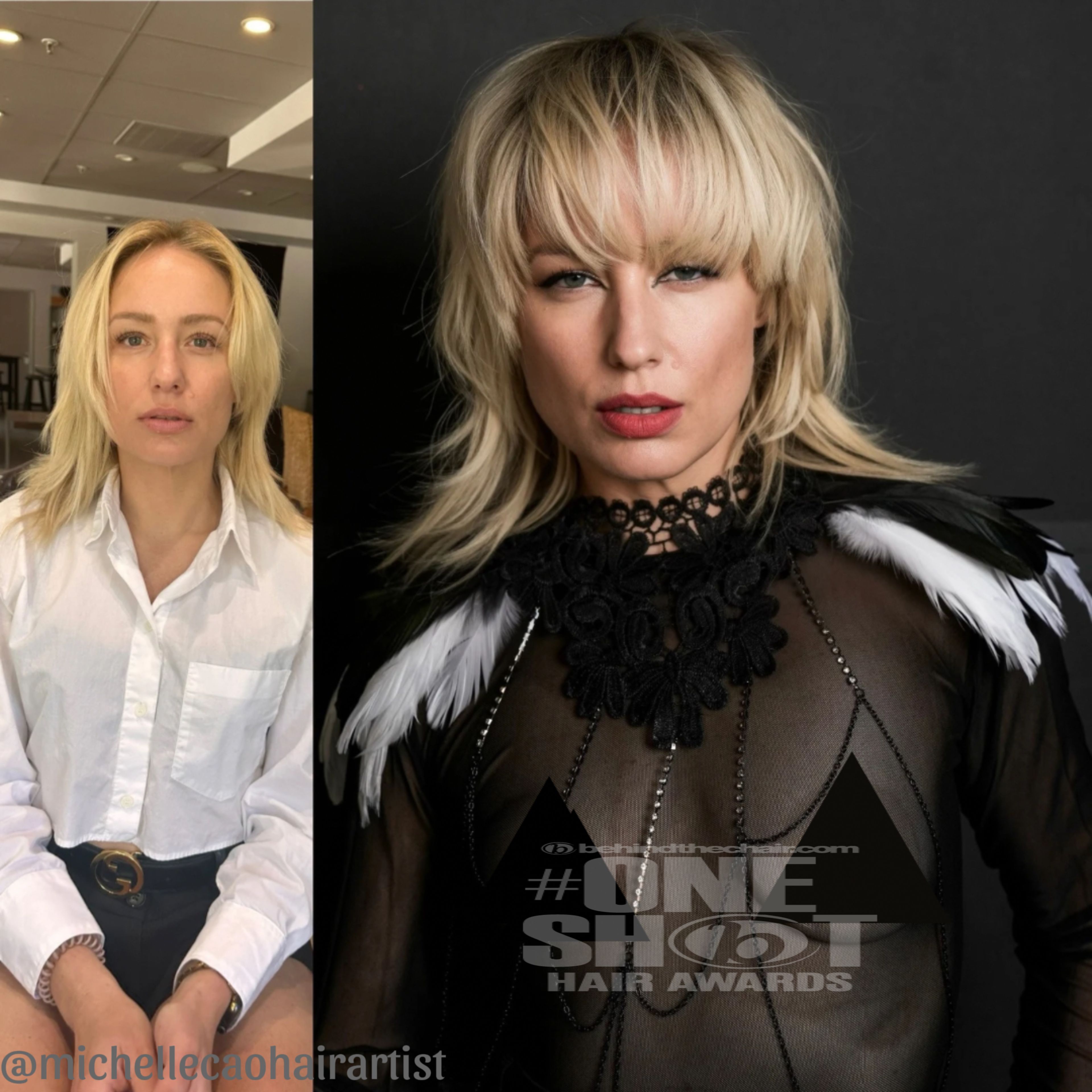 Michelle House — Cut Transformation ONESHOT Hair Awards entry