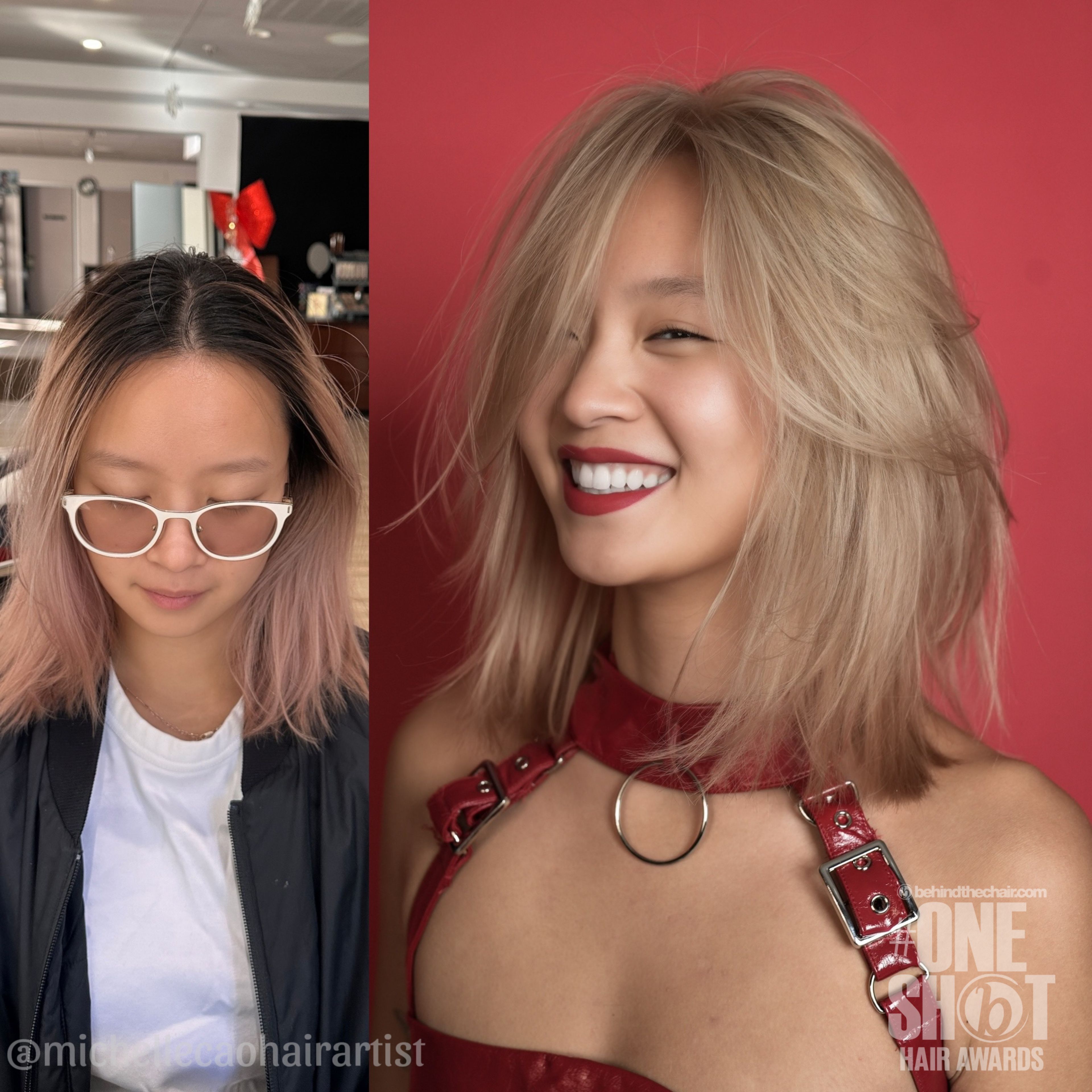 Michelle House — Color Transformation ONESHOT Hair Awards entry