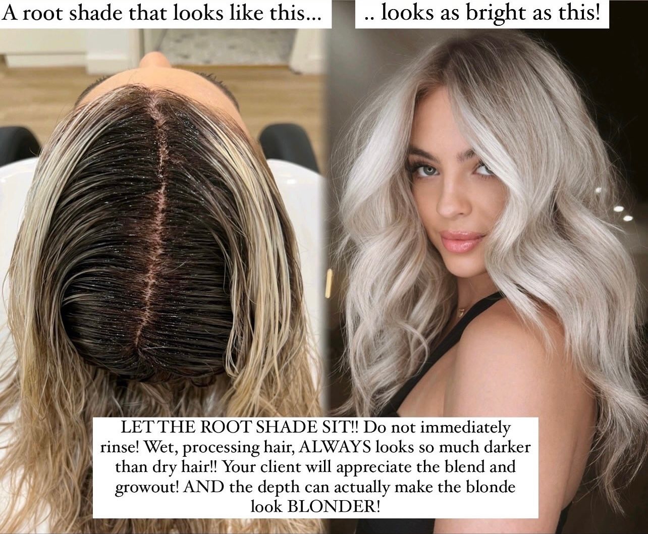 Mallory Galusha — Educational Post ONESHOT Hair Awards entry