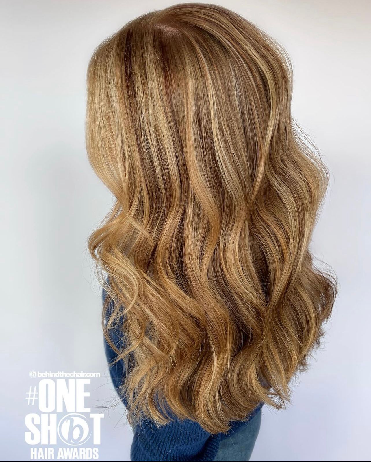 Sarah Cabral — Warm Balayage ONESHOT Hair Awards entry