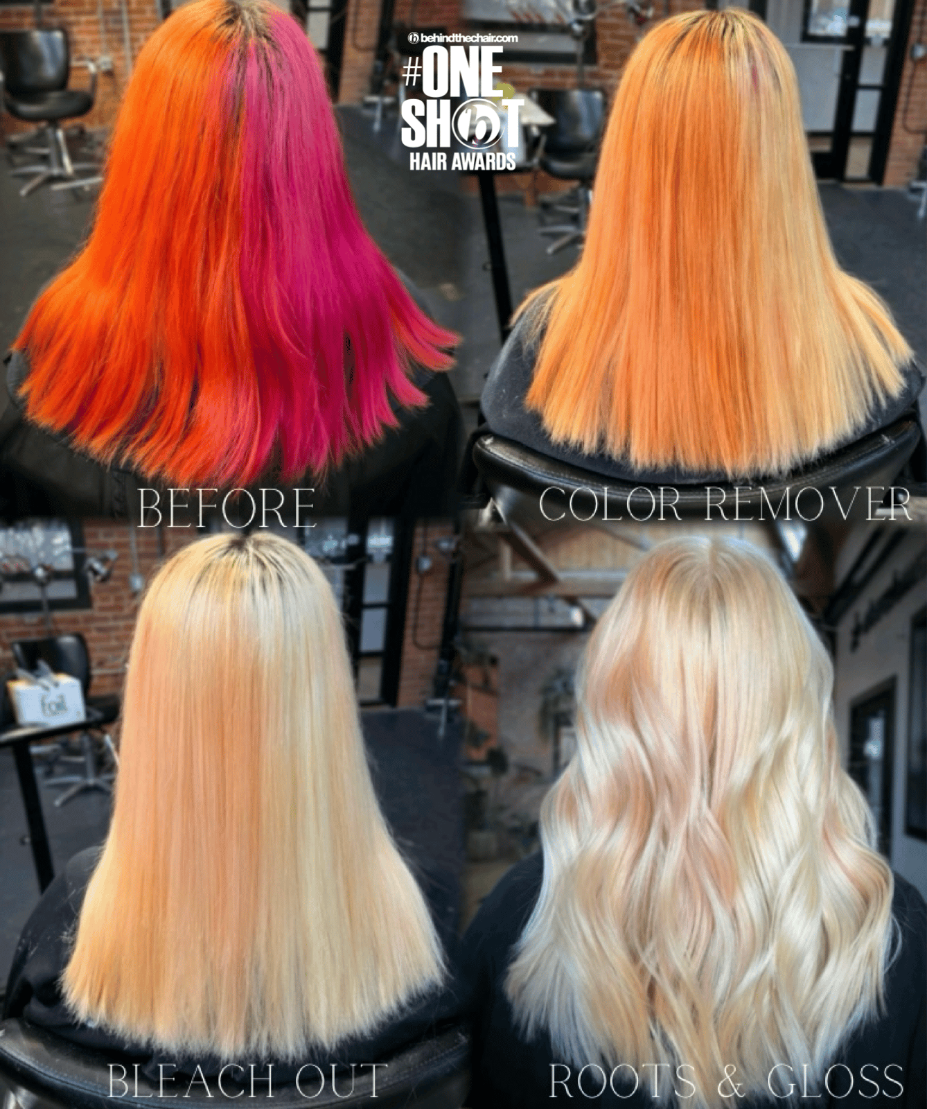 Ashley Calandro — Educational Post ONESHOT Hair Awards entry