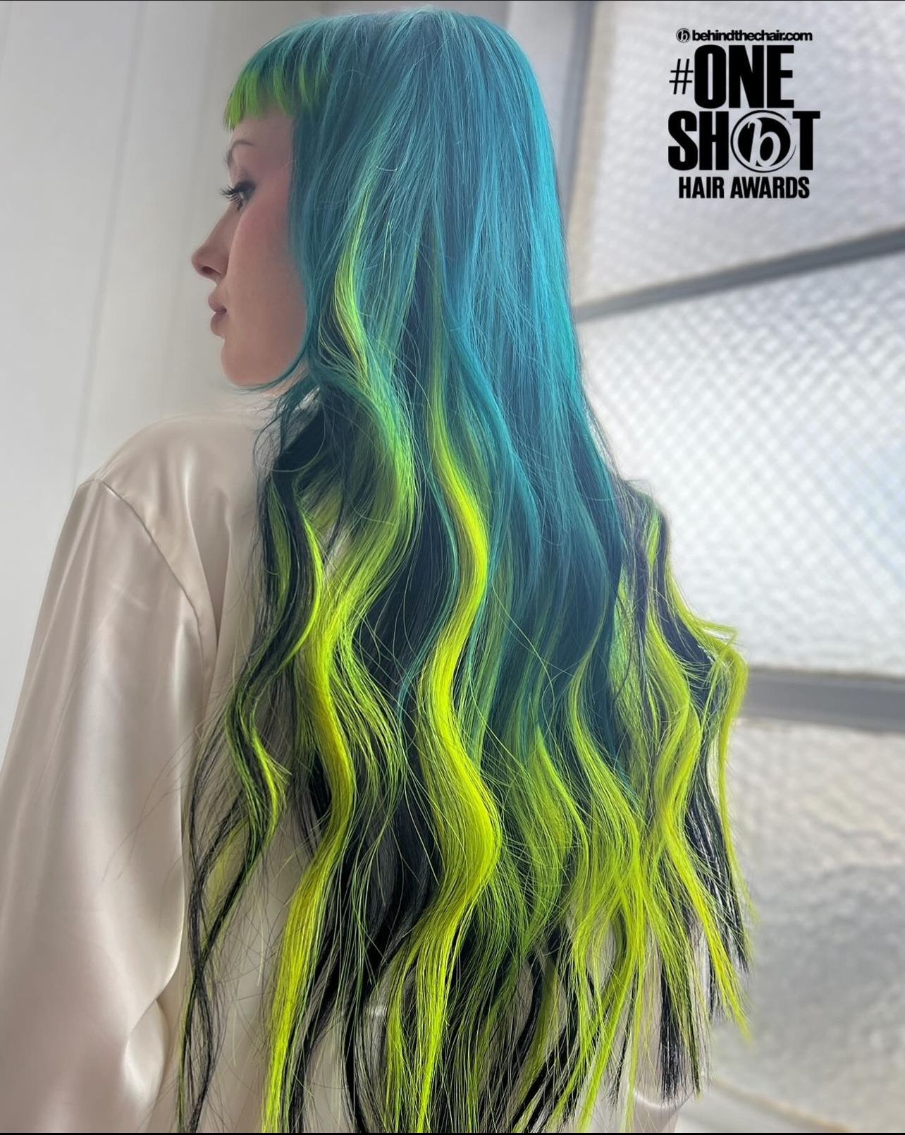 Brittany Holland — Creative Color ONESHOT Hair Awards entry