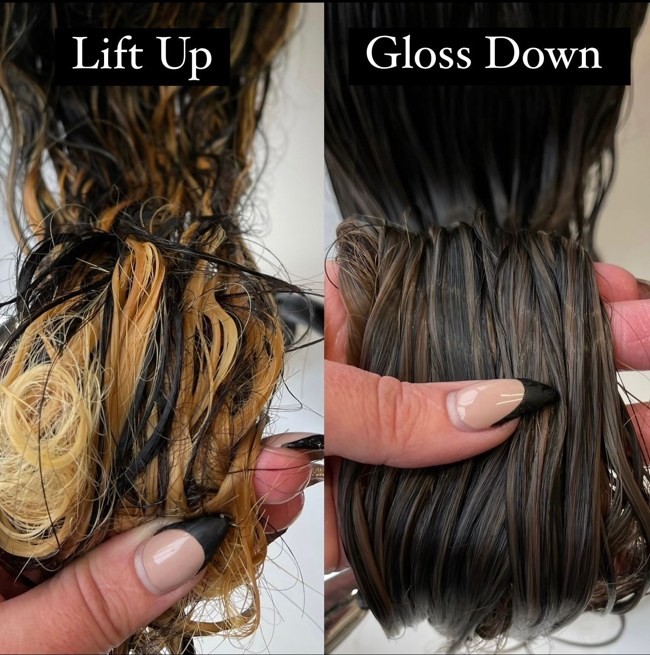 Lauren Hassinger — Educational Post ONESHOT Hair Awards entry