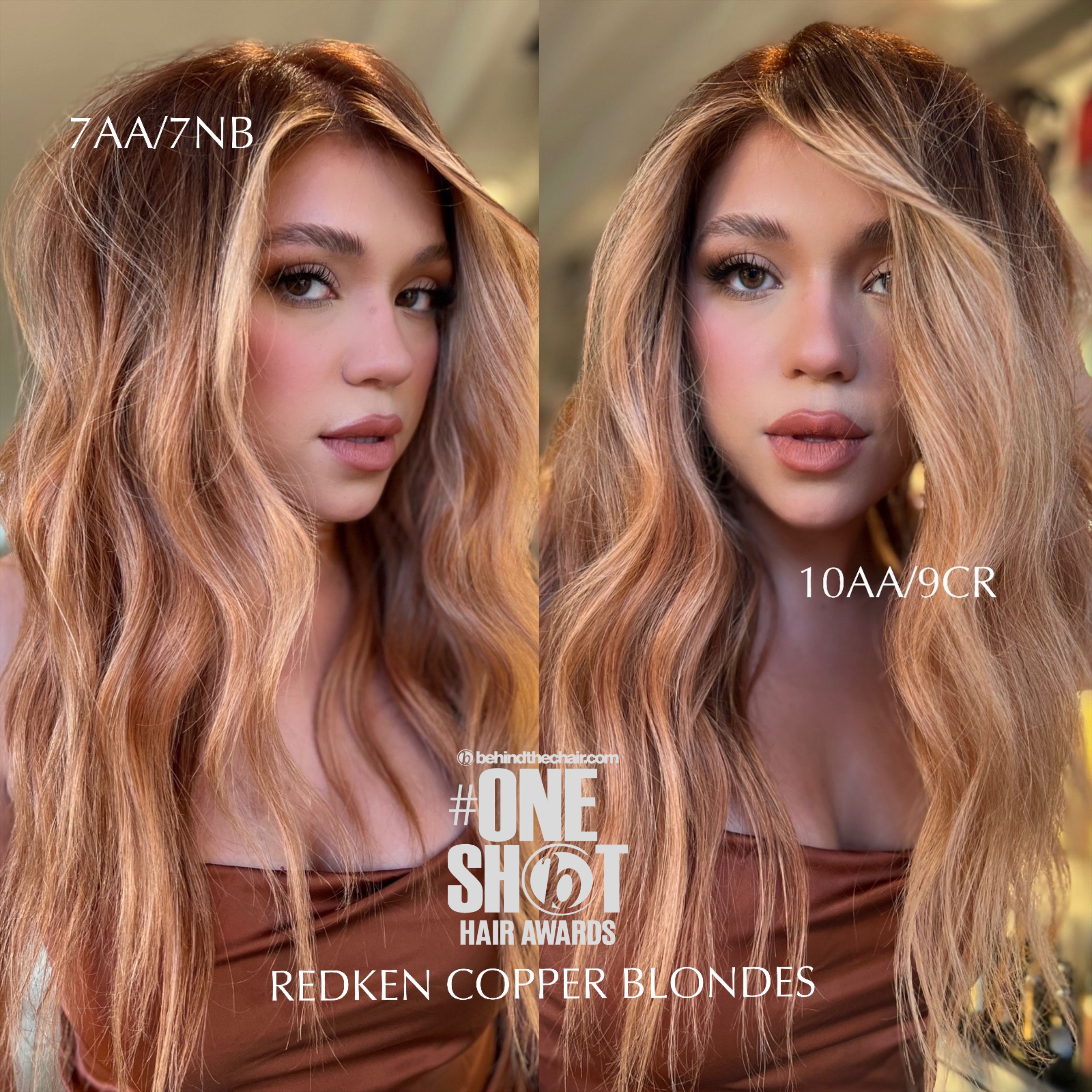 Diana Bernal — Educational Post ONESHOT Hair Awards entry