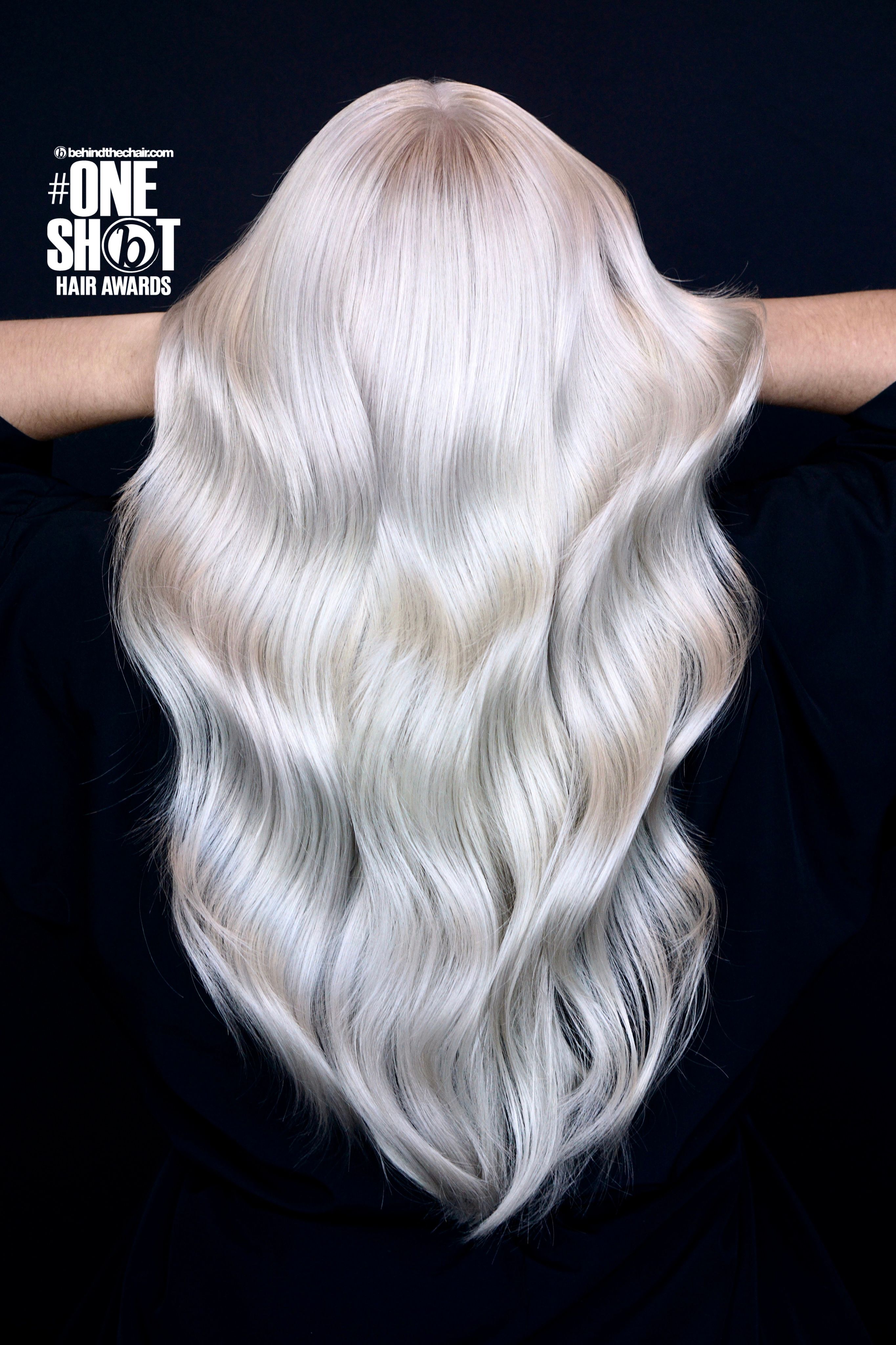 Gabrielle Monfils — Platinum ONESHOT Hair Awards entry