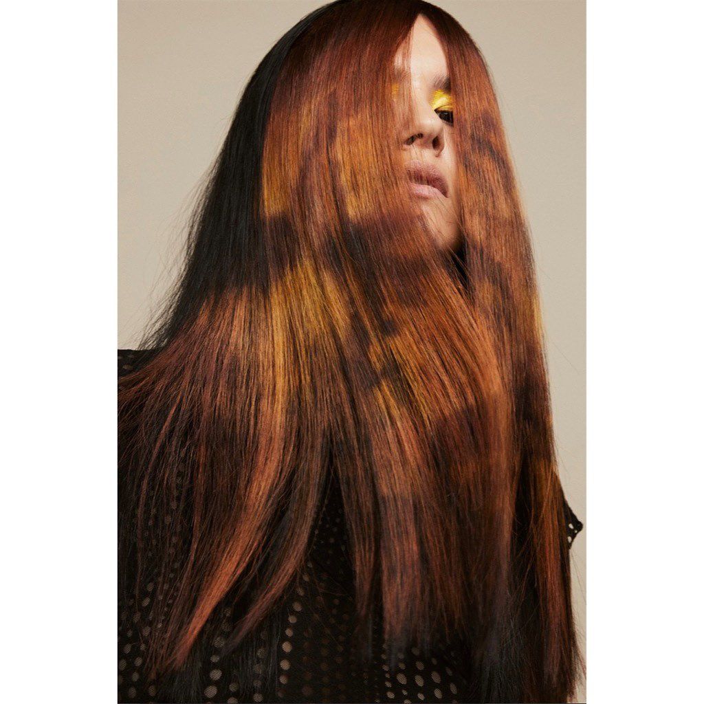Tonje Dahlen — Hair Color Collection ONESHOT Hair Awards entry