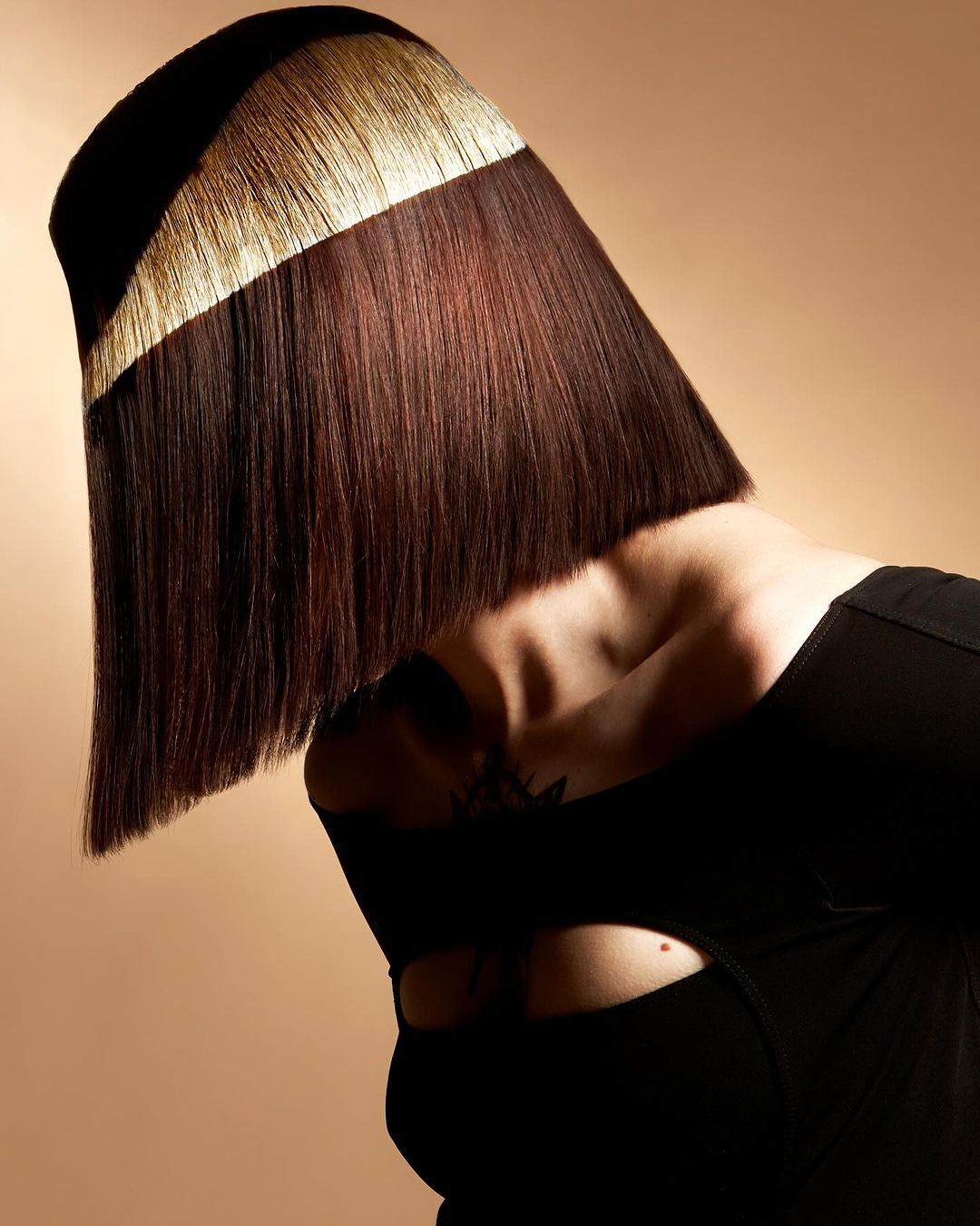 Casey Coleman — Hair Color Shot ONESHOT Hair Awards entry