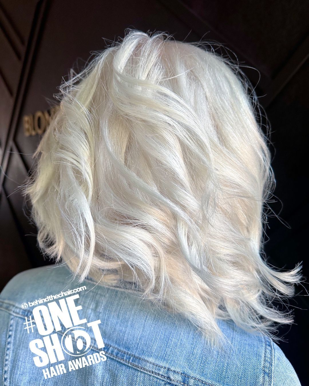 Kristeena Van Cleave — Platinum ONESHOT Hair Awards entry