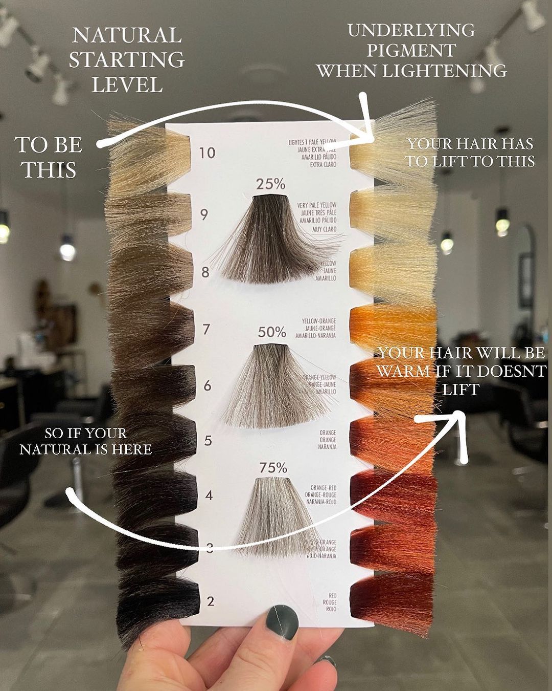 Becca Clark — Educational Post ONESHOT Hair Awards entry
