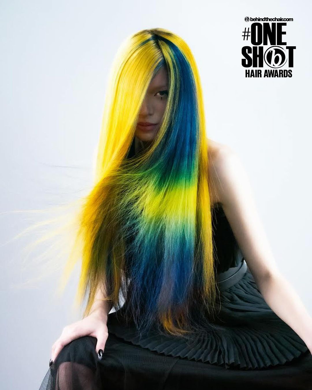 Michelle Pargee — Hair Color Collection ONESHOT Hair Awards entry