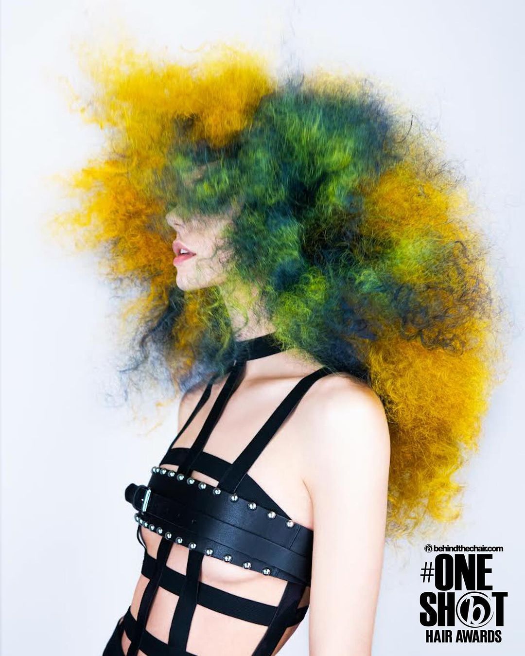 Michelle Pargee — Texture Shot ONESHOT Hair Awards entry