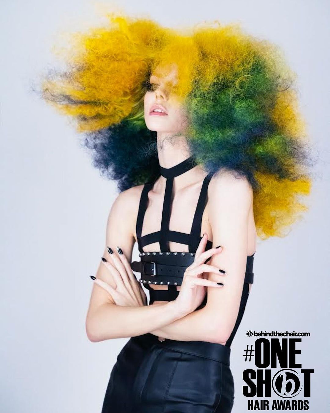 Michelle Pargee — Hair Color Shot ONESHOT Hair Awards entry