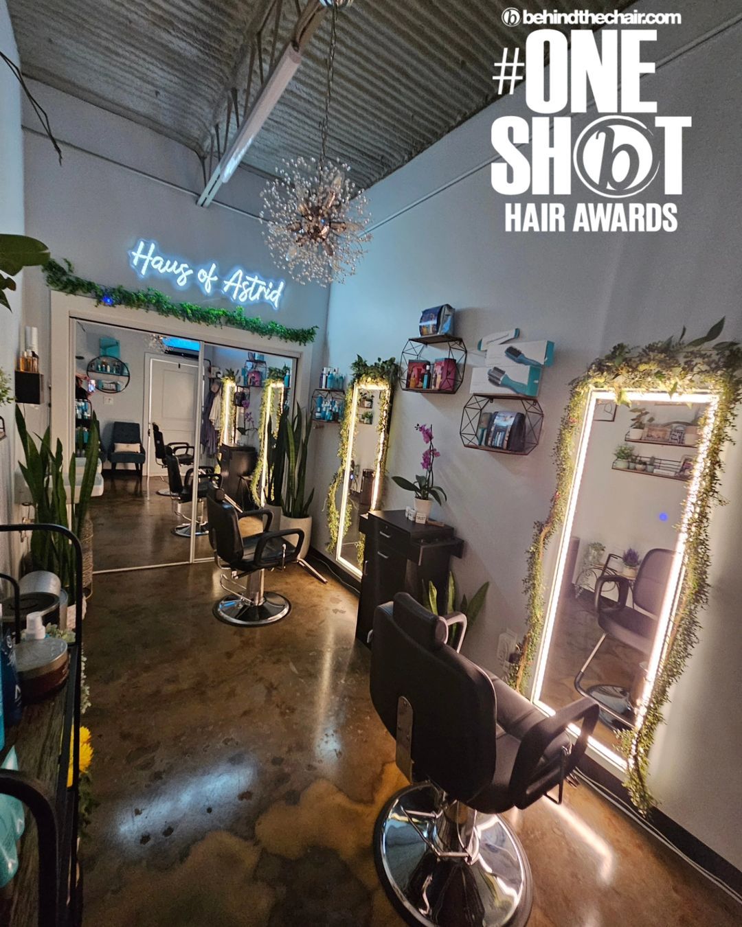 Astrid Mahoney — Suite Decor ONESHOT Hair Awards entry