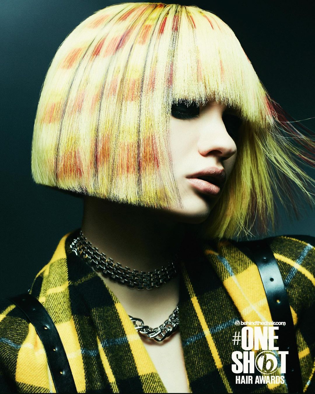 David Corbett — Hair Color Collection ONESHOT Hair Awards entry
