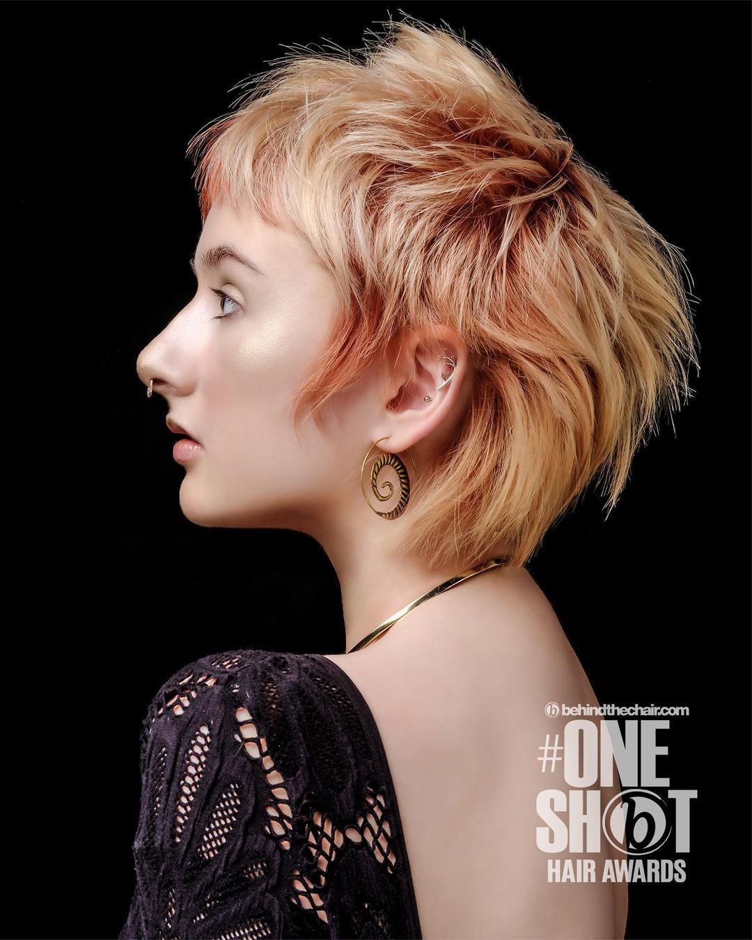 Lindsay Loves Hair — Pixie/Bixie ONESHOT Hair Awards entry
