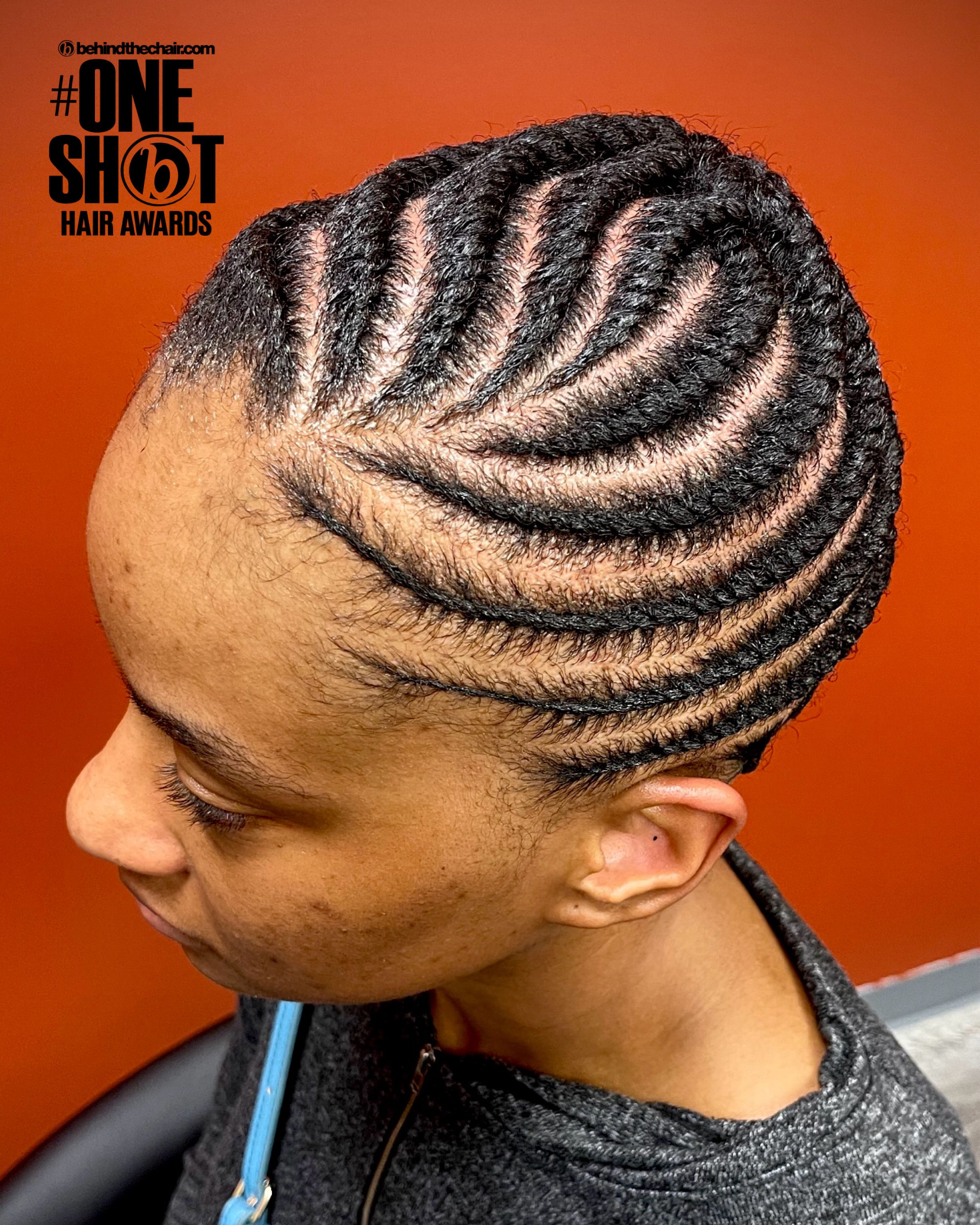 Leslie Blakely — Intricate Braids & Twists ONESHOT Hair Awards entry