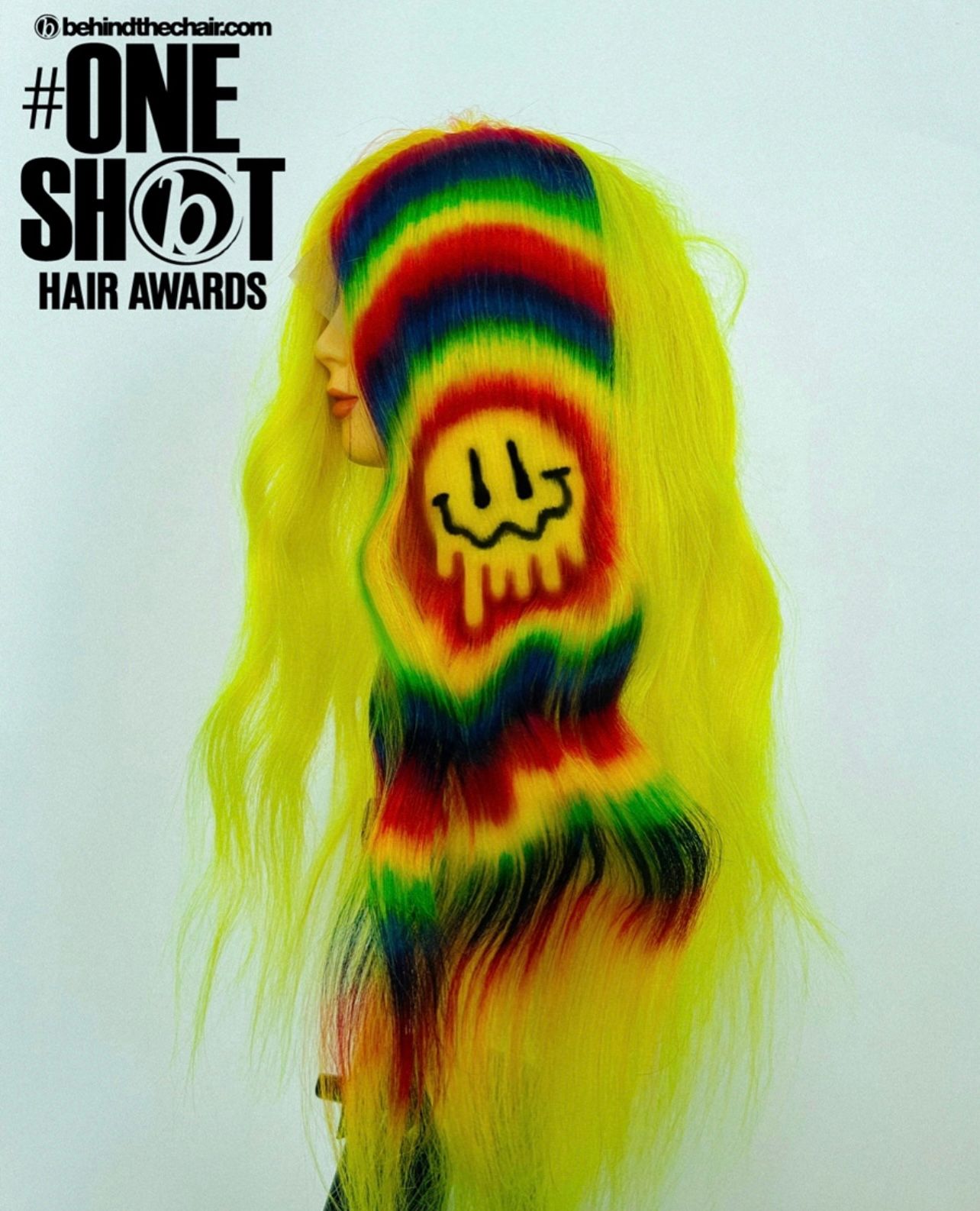 Morgan Whitt — Creative Color ONESHOT Hair Awards entry