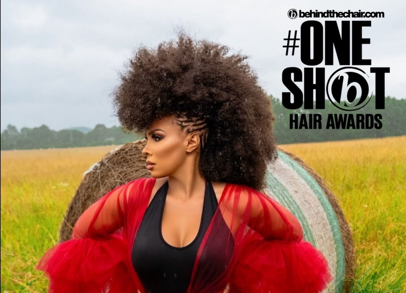 Crystle Jones Bond — Natural Texture ONESHOT Hair Awards entry