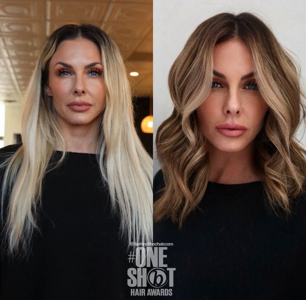 Maguy Compton — Color Transformation ONESHOT Hair Awards entry