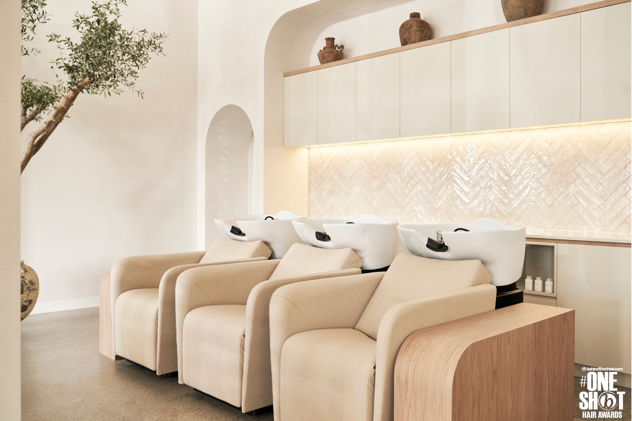 Saranya Lee — Salon Decor ONESHOT Hair Awards entry