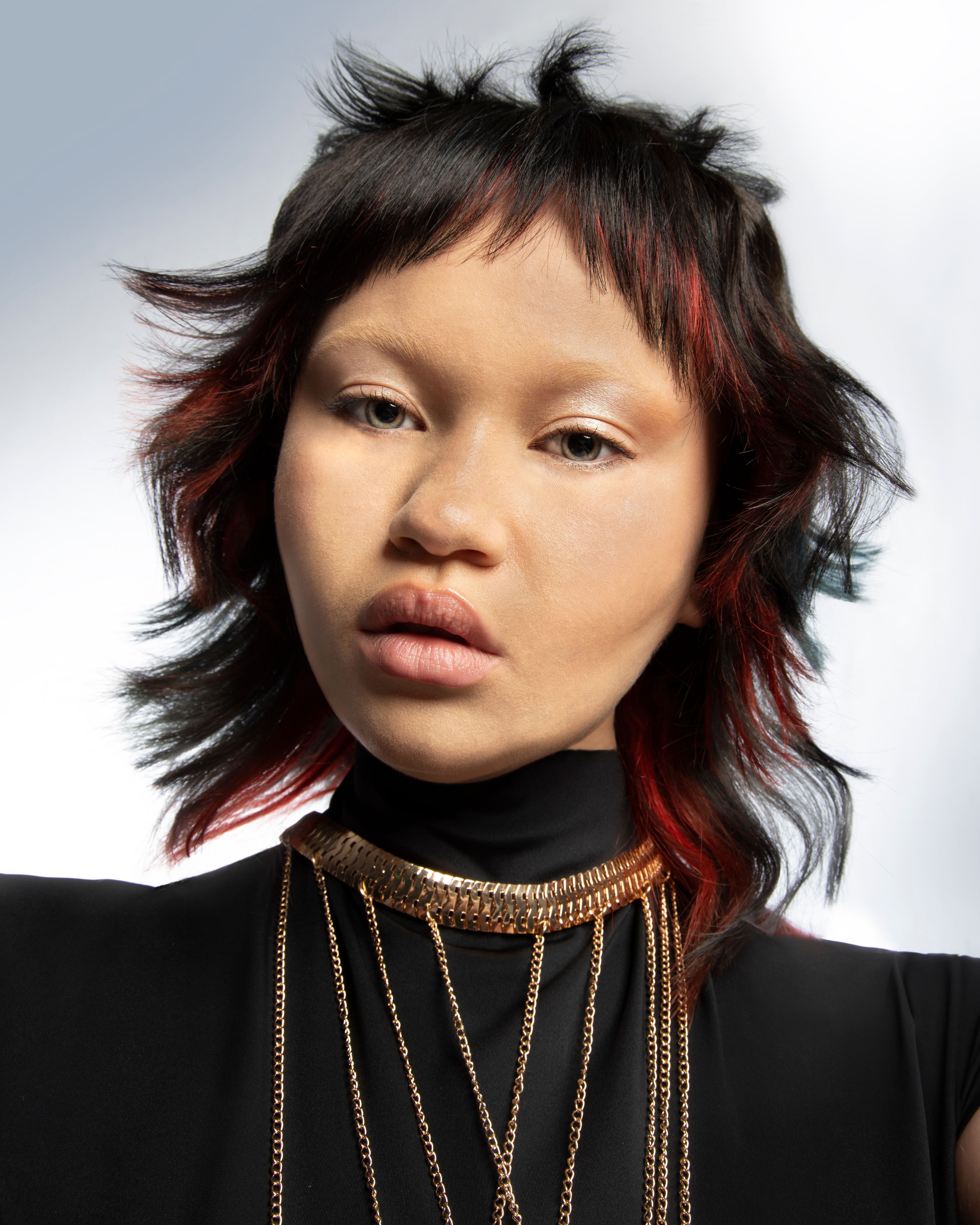 Dario LA Porta — Shag/Mullet ONESHOT Hair Awards entry