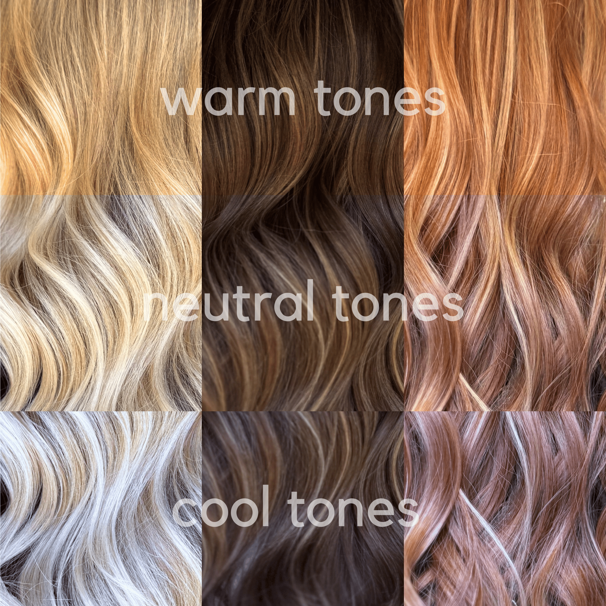 Taylor Eppard — Educational Post ONESHOT Hair Awards entry