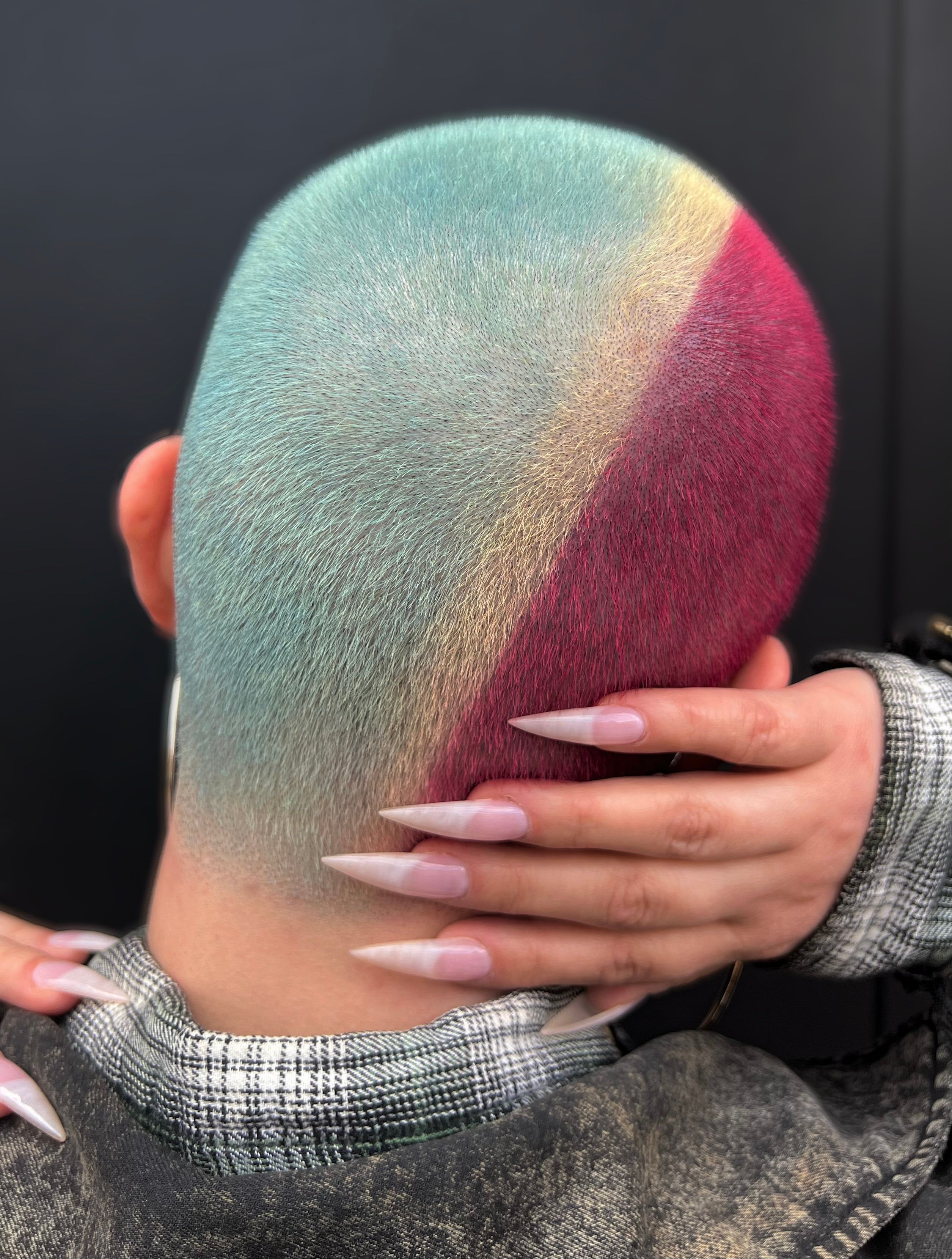 Alyssa Bachowski — Color Blocking ONESHOT Hair Awards entry
