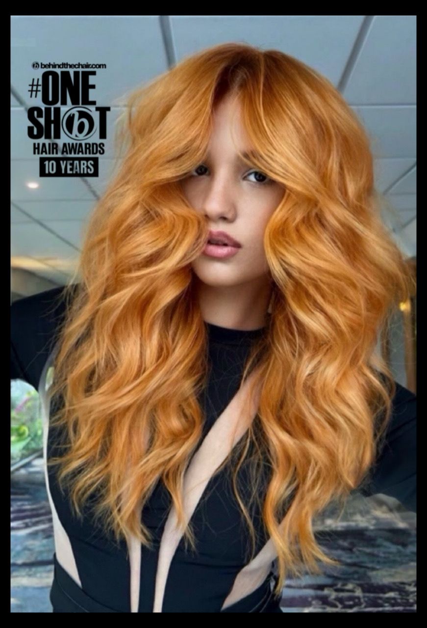 Lisa Hernandez — Reds ONESHOT Hair Awards entry