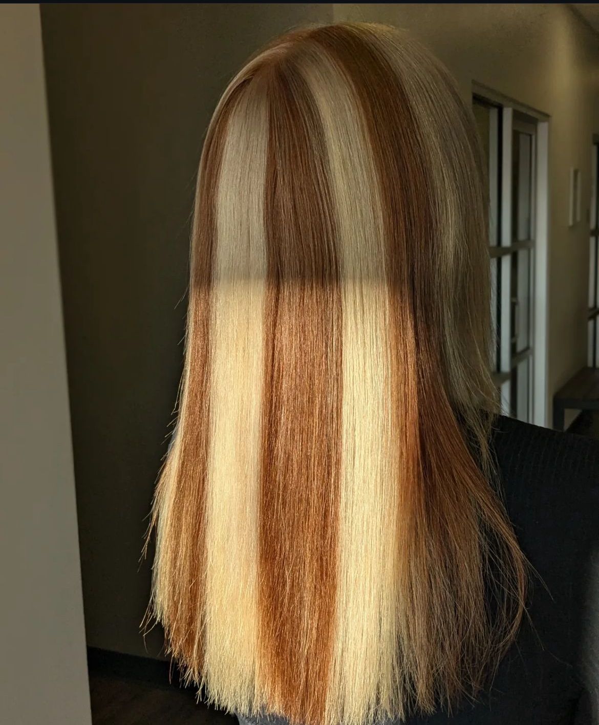Jessica Swartzentruber — Color Blocking ONESHOT Hair Awards entry