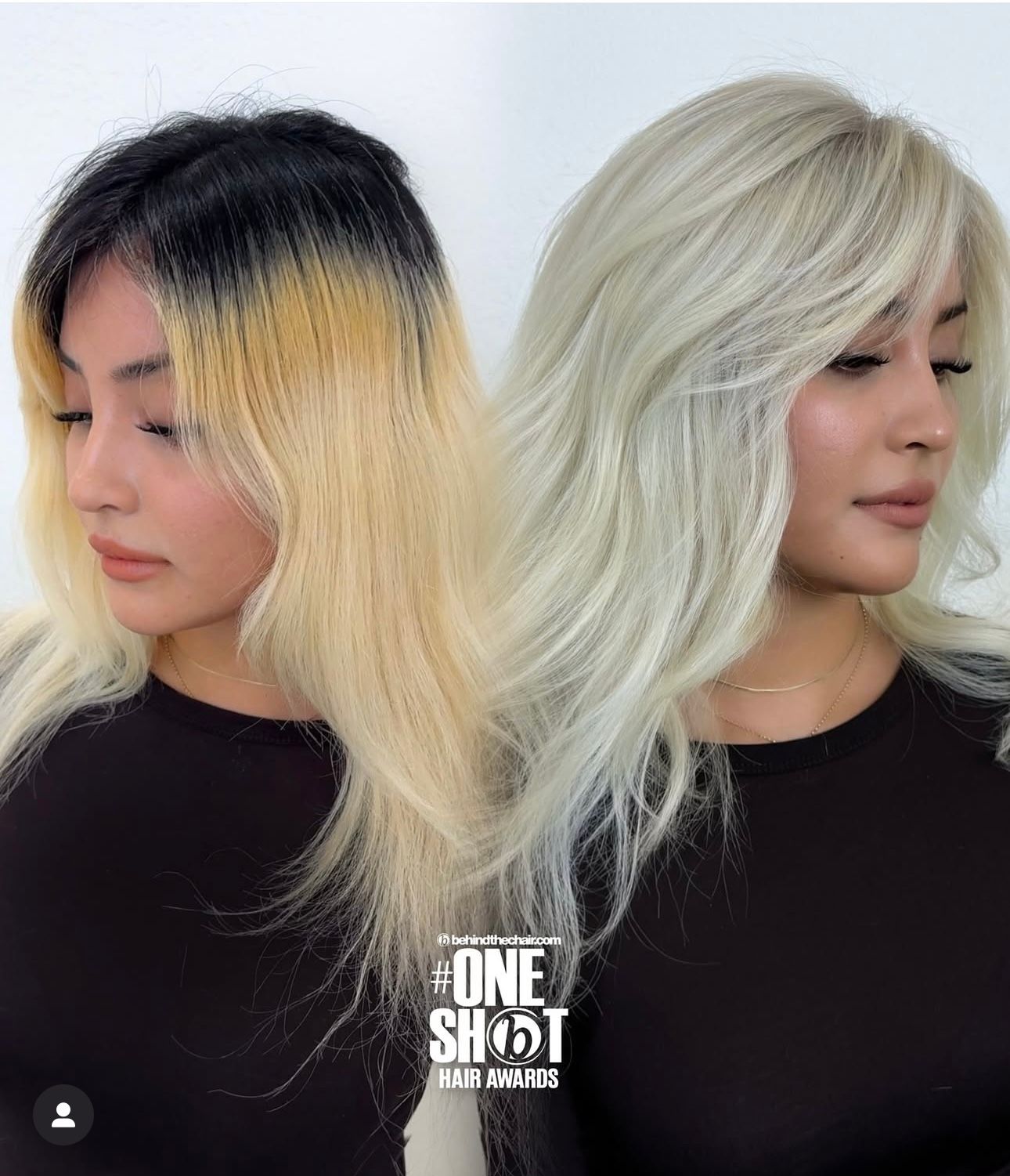 Roxy Akopyan — Color Transformation ONESHOT Hair Awards entry