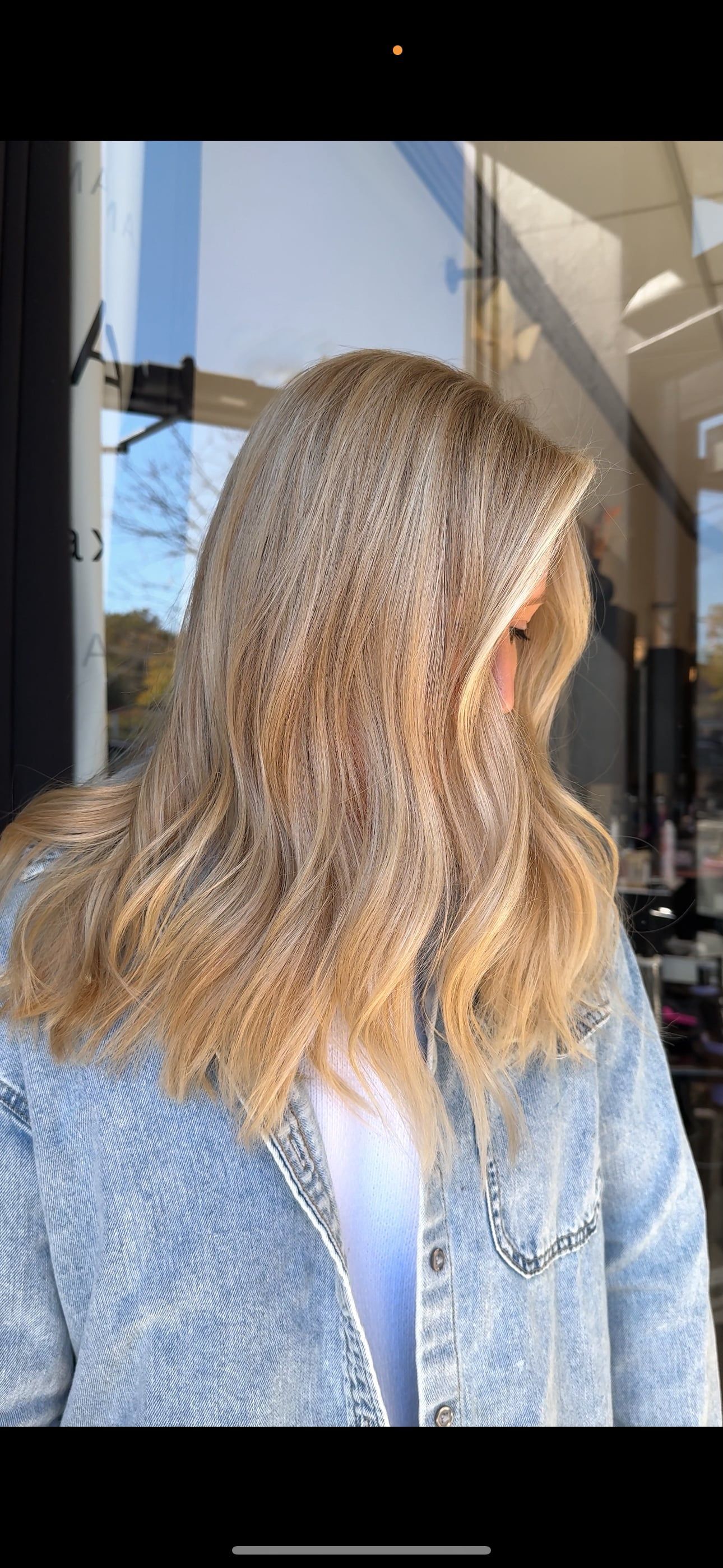 Lisa Mathews — Blondes ONESHOT Hair Awards entry