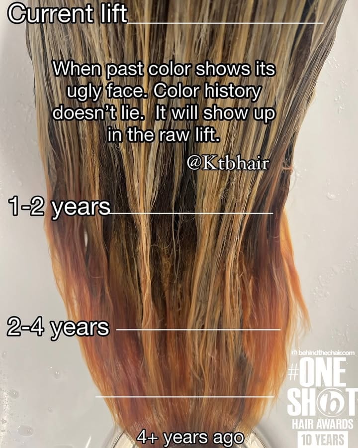 Katie Brenner — Educational Post ONESHOT Hair Awards entry