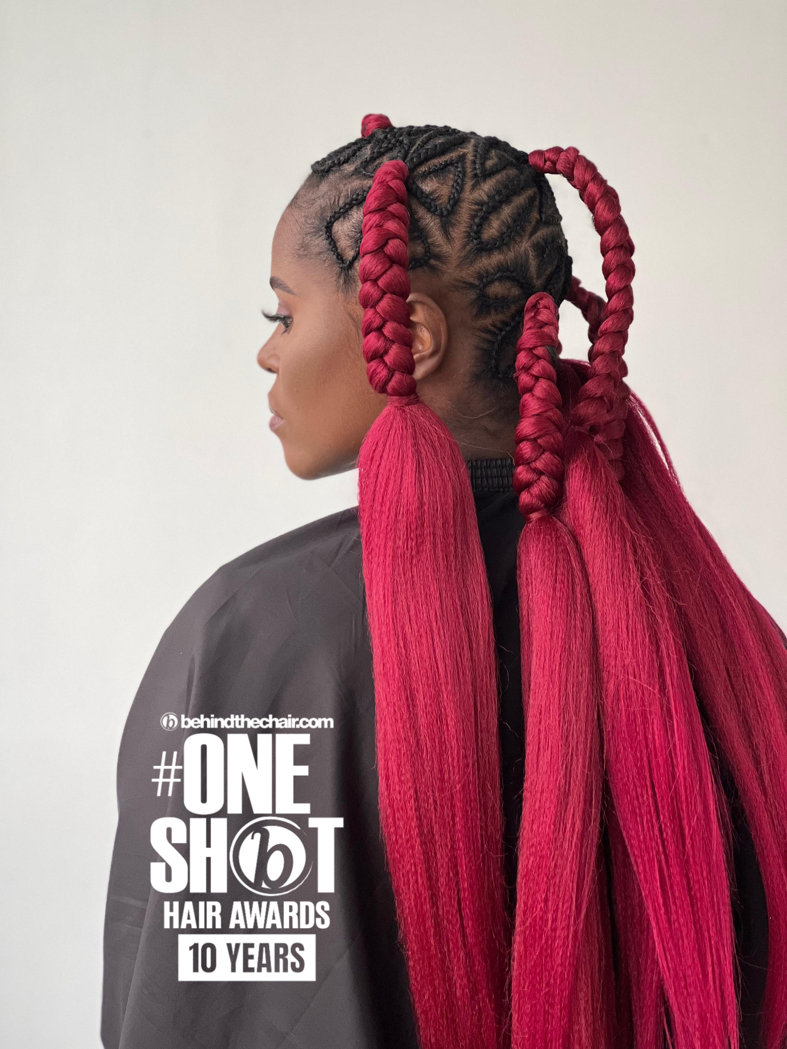 DGOHNIE Hair Arts — Intricate Braids & Twists ONESHOT Hair Awards entry