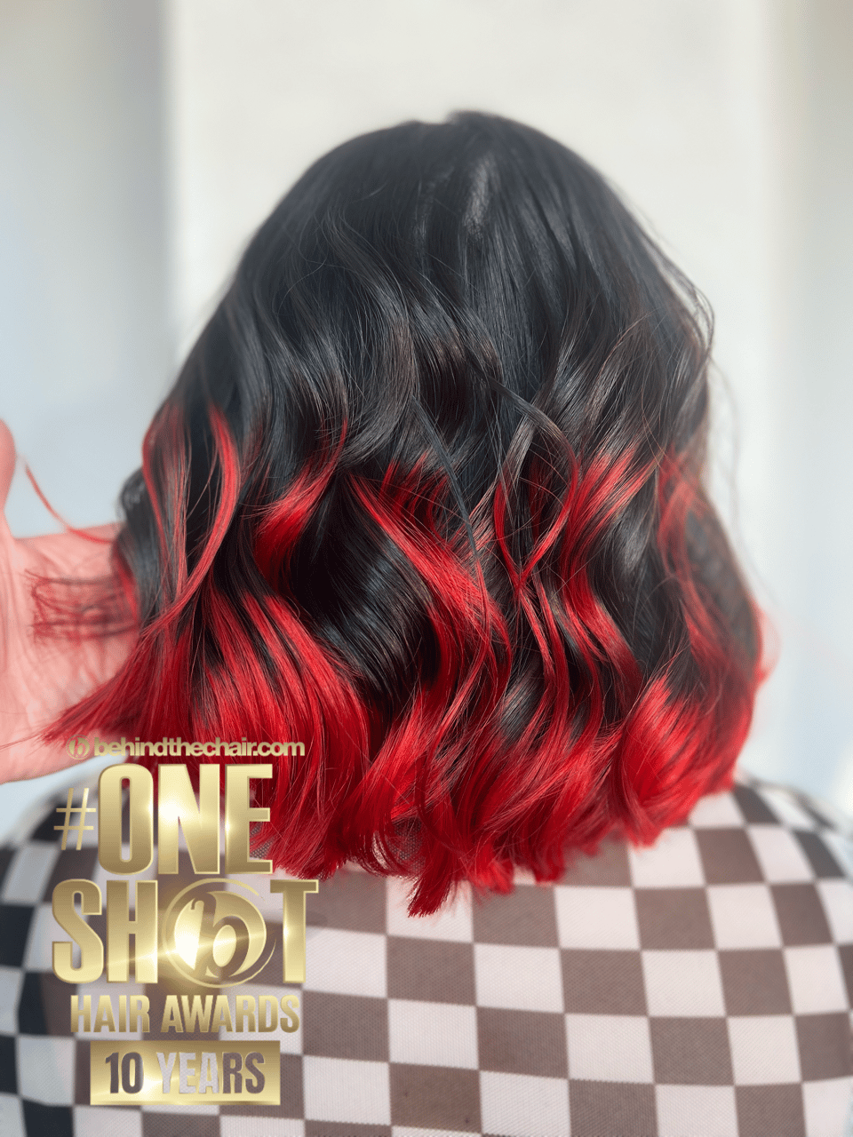 Meagan Guidry — Color Blocking ONESHOT Hair Awards entry