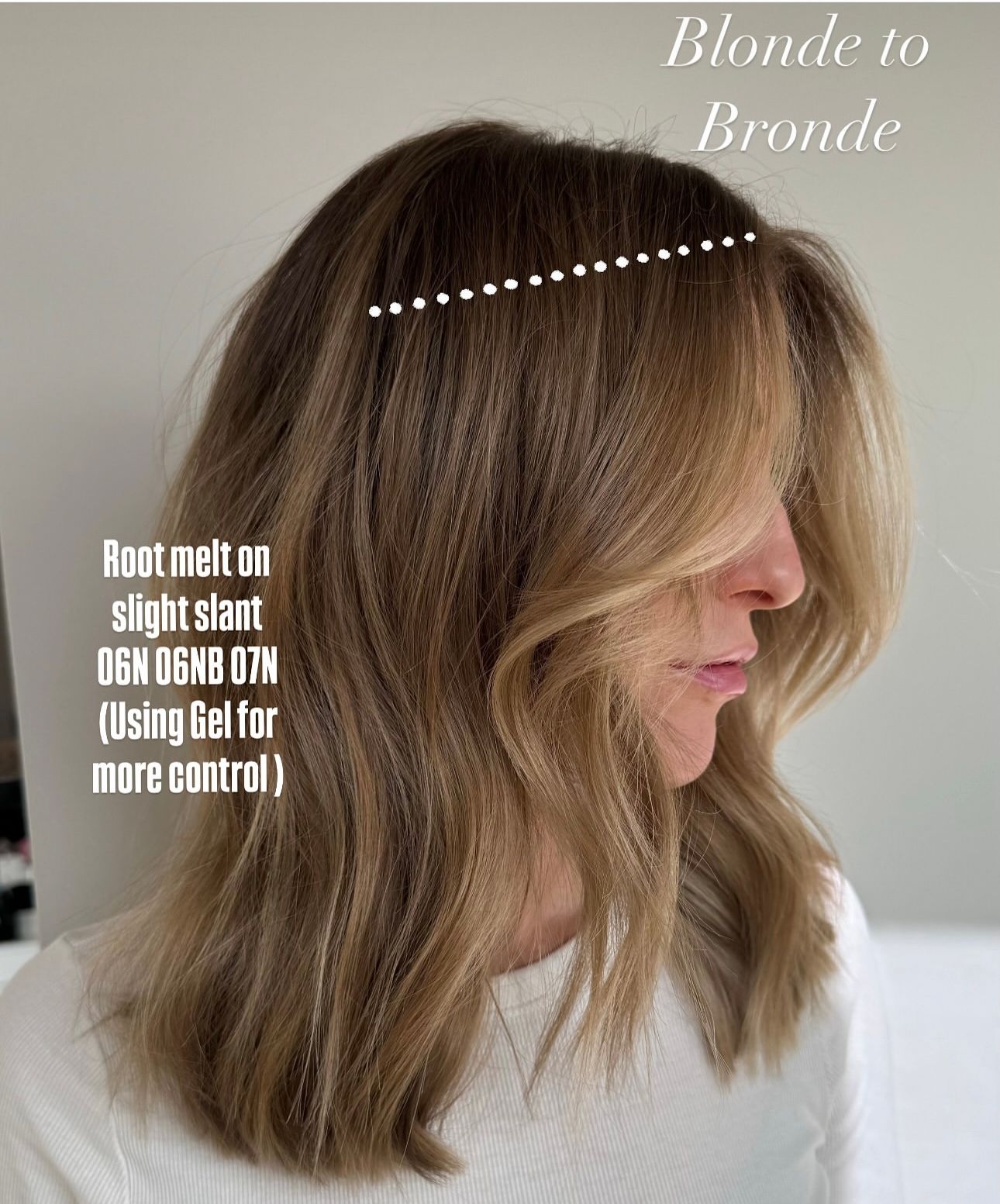 Lisa Mathews — Educational Post ONESHOT Hair Awards entry