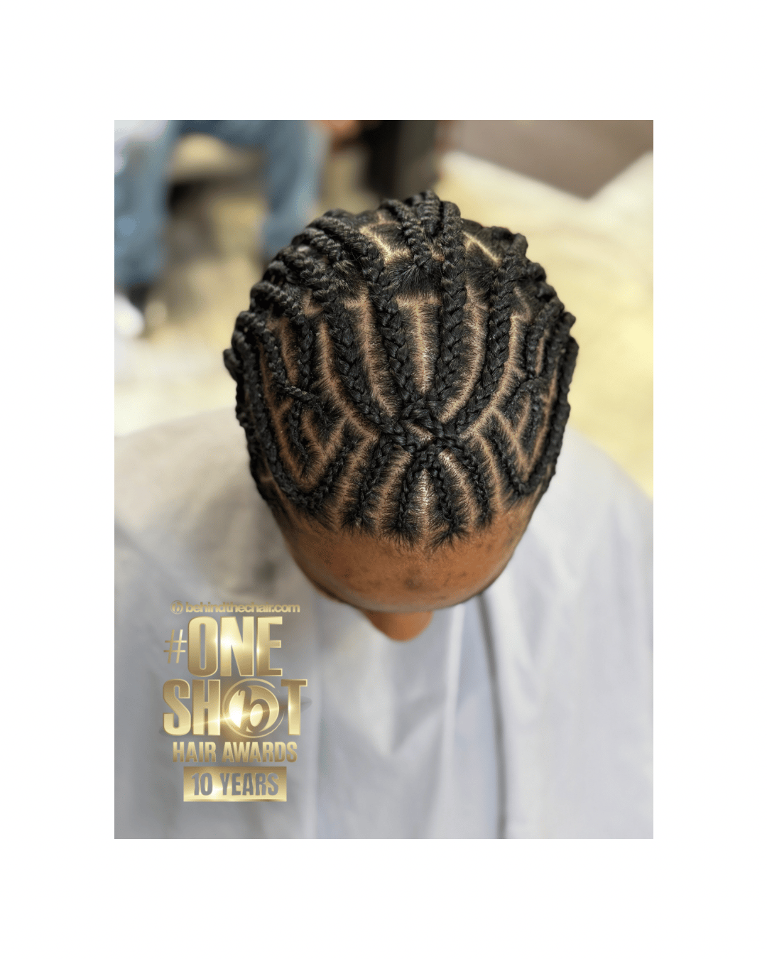 Damia Shanae Gordon — Intricate Braids & Twists ONESHOT Hair Awards entry
