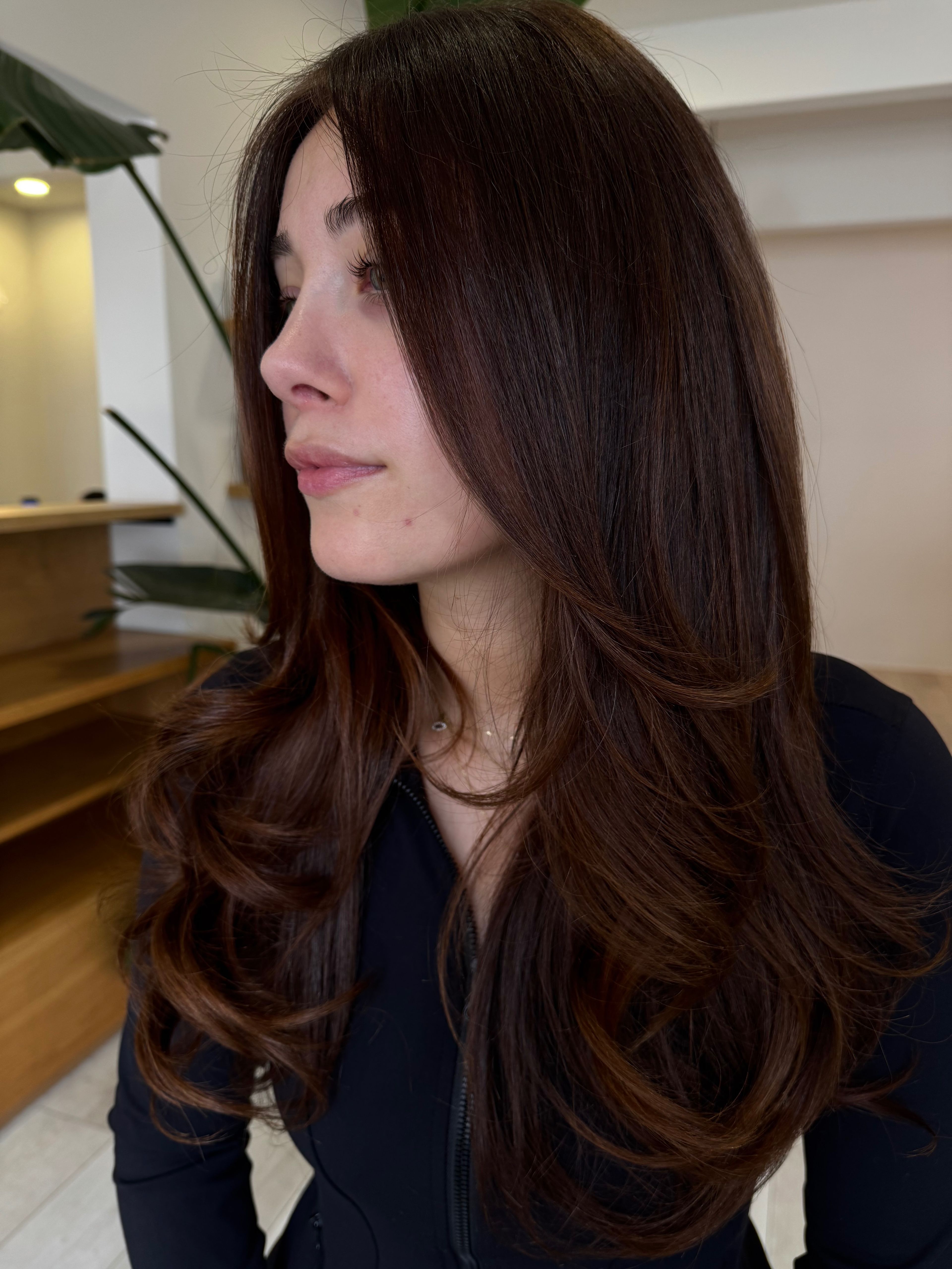 Jordan Scheinbaum — Brunettes ONESHOT Hair Awards entry