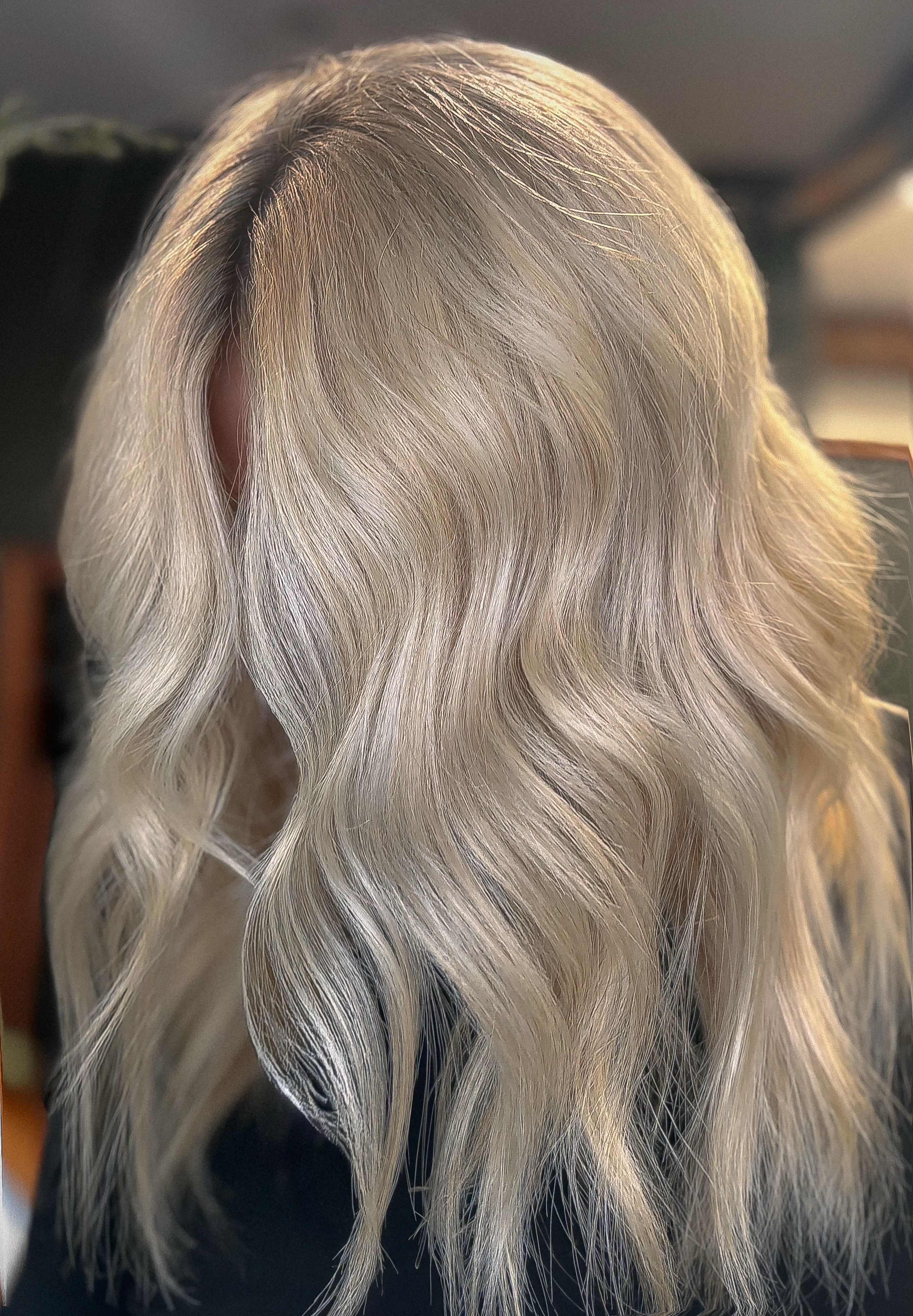 Bailey Simmons — Platinum ONESHOT Hair Awards entry