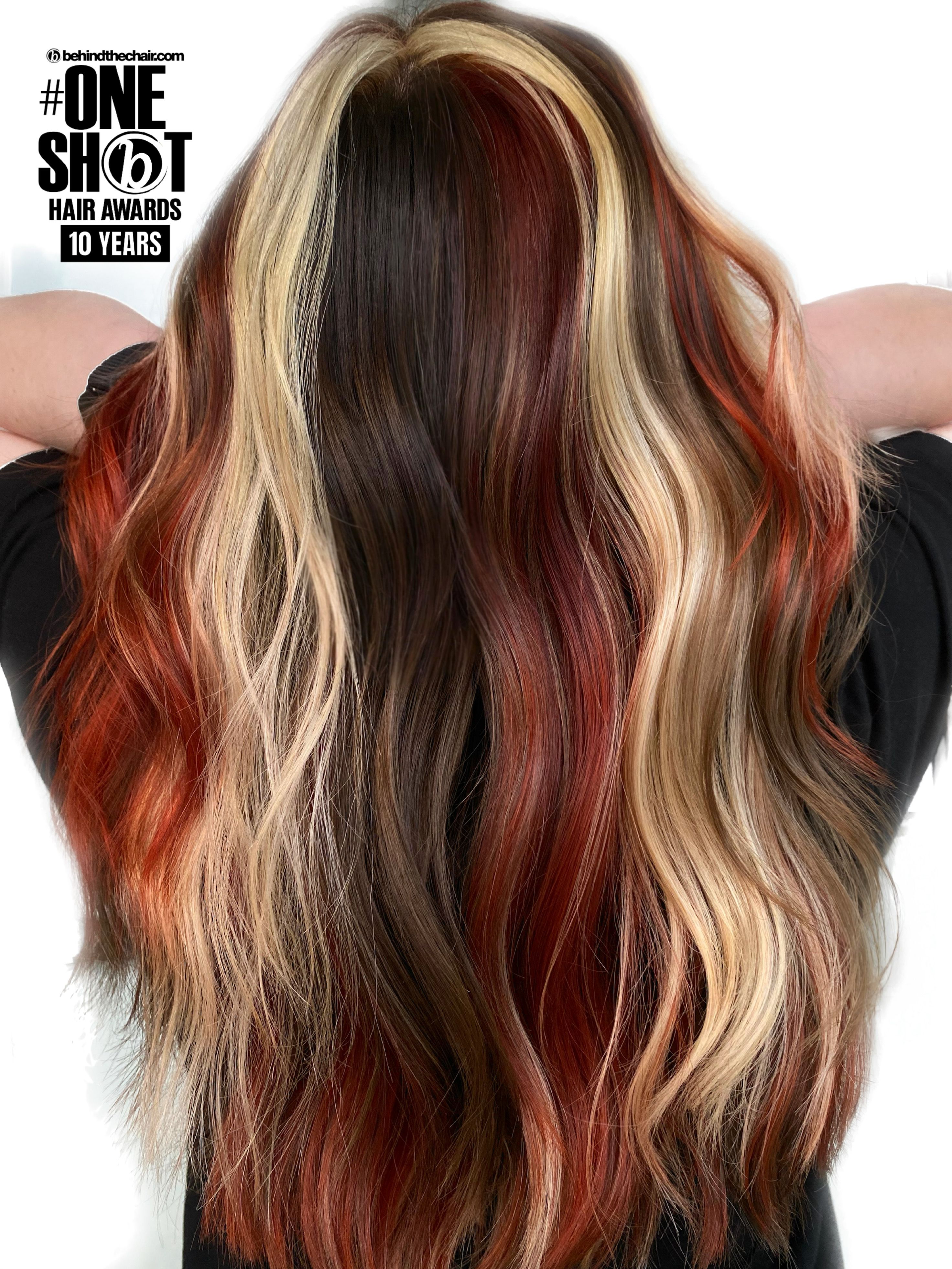Coree Coley — Color Blocking ONESHOT Hair Awards entry