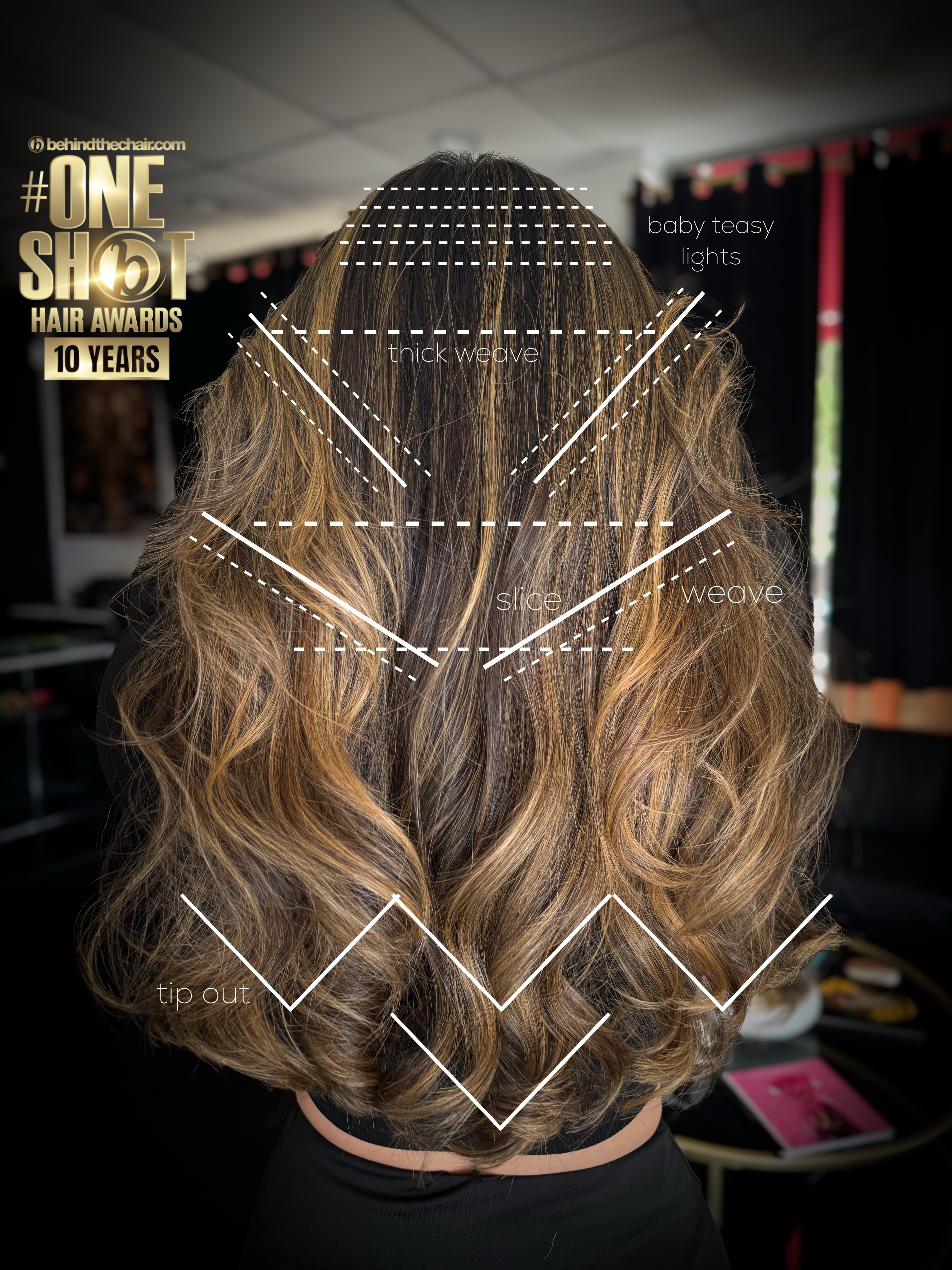 Christa Larsen — Educational Post ONESHOT Hair Awards entry