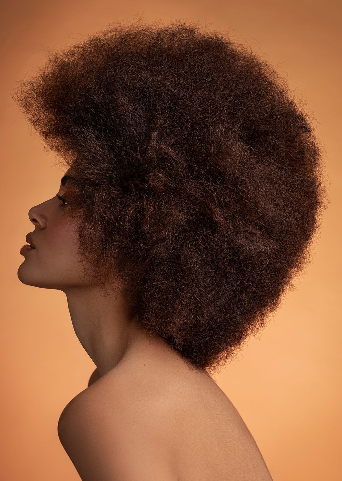 Reggy Van Gils — Texture Shot ONESHOT Hair Awards entry
