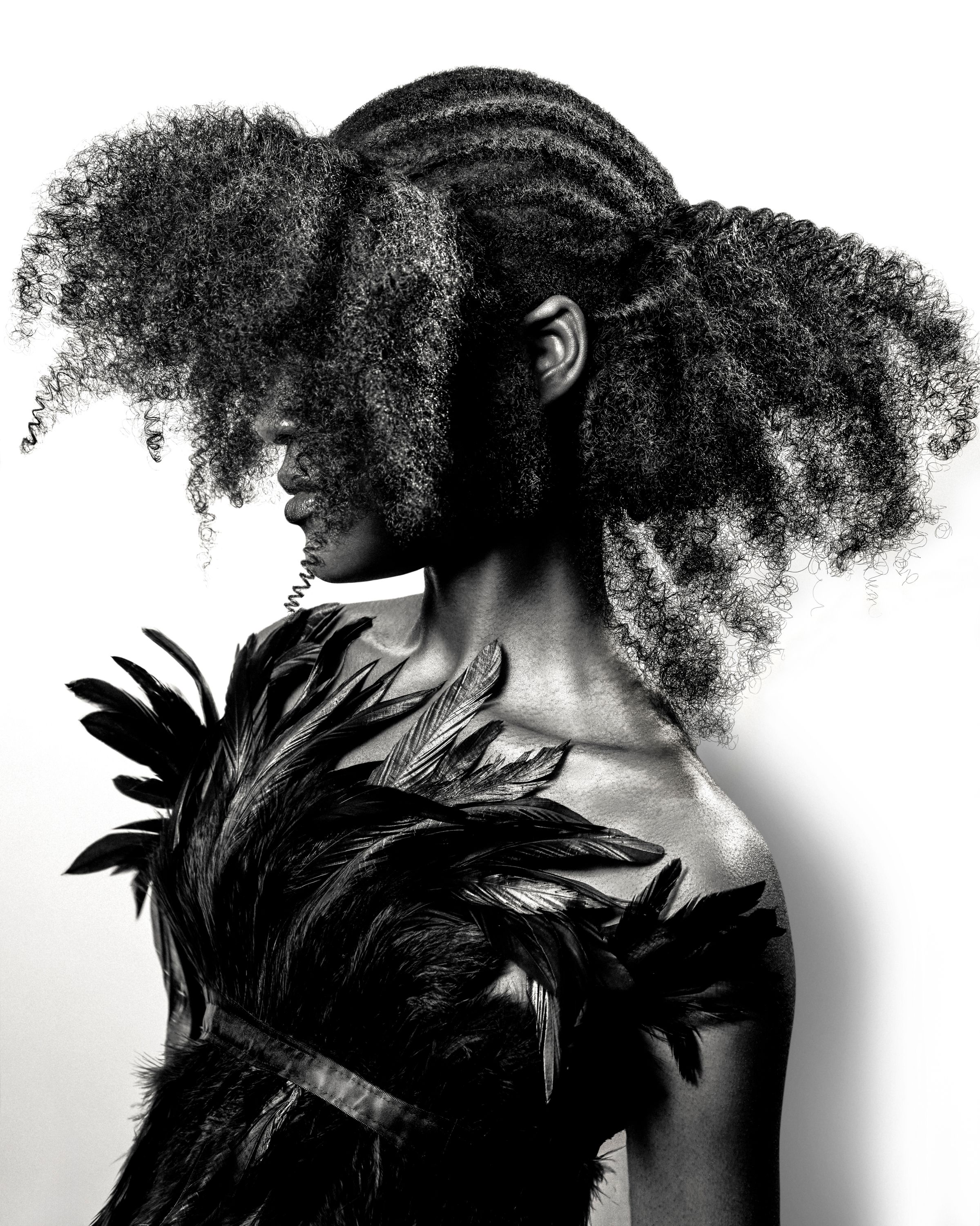 Sarah McCulloch — Texture Collection ONESHOT Hair Awards entry