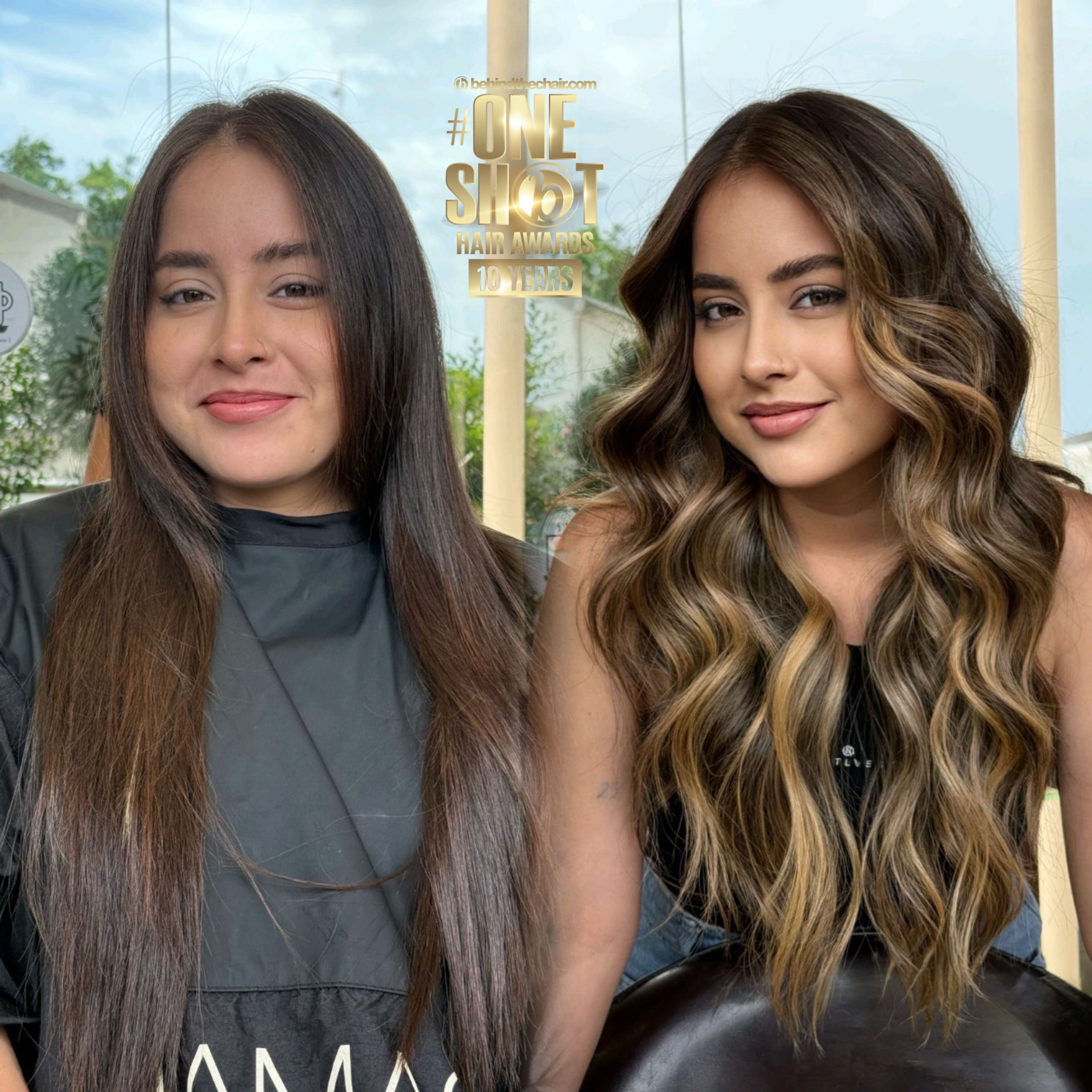Pamela Alba — Color Transformation ONESHOT Hair Awards entry