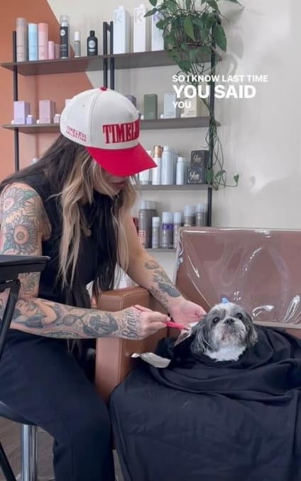 Lauren Mcelroy — Funny Video ONESHOT Hair Awards entry