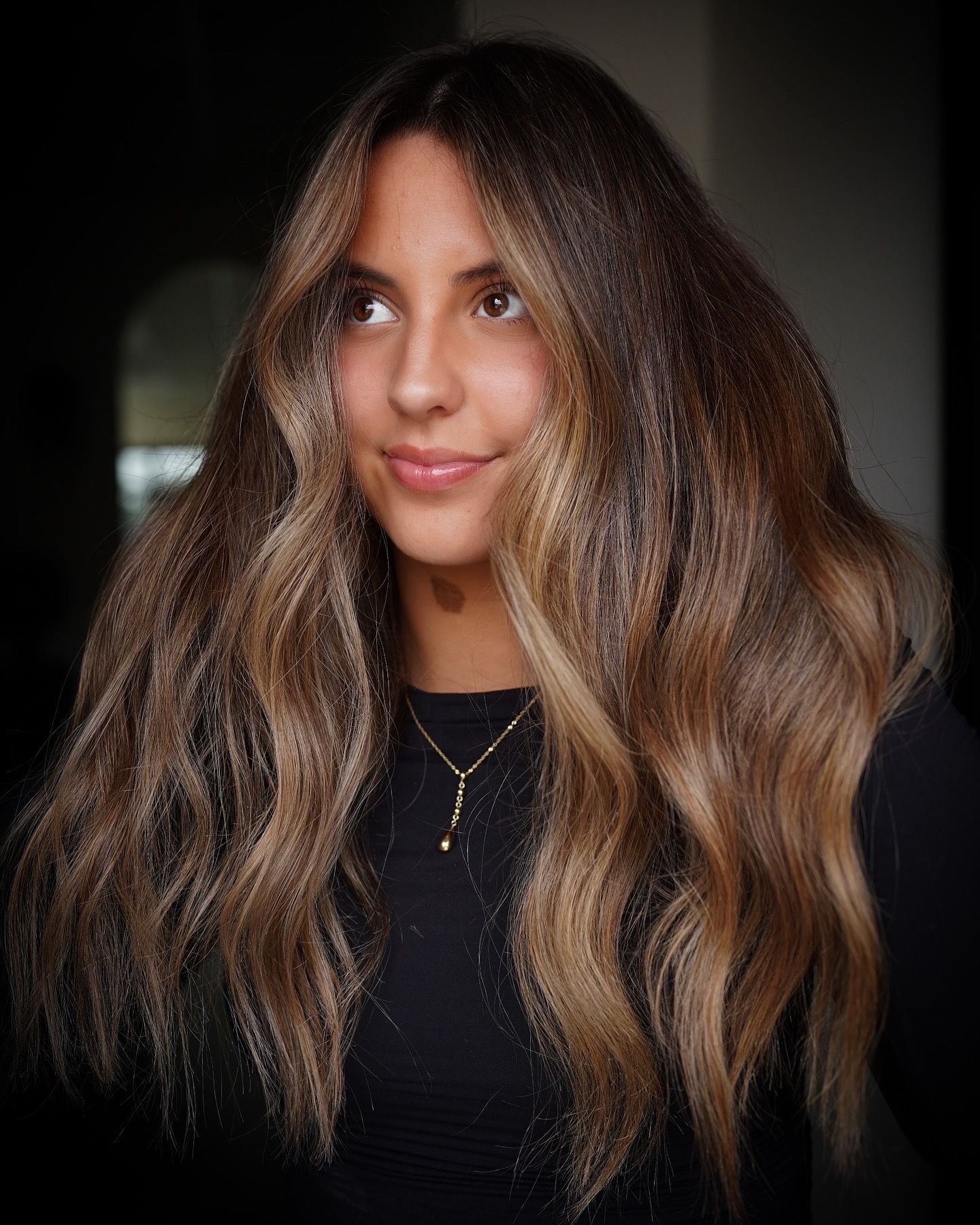 Meghann Zarrillo — Brunettes ONESHOT Hair Awards entry